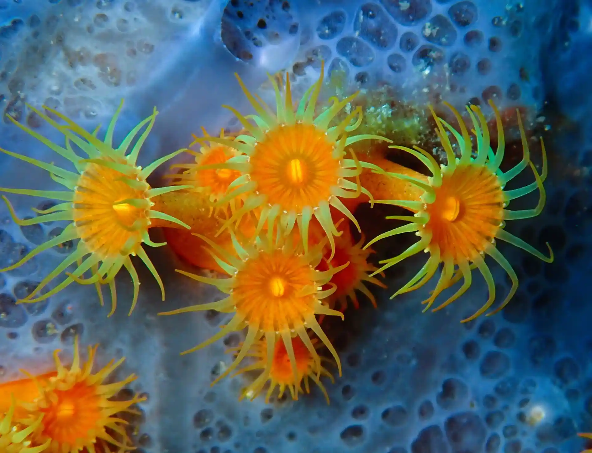 Foto de la actividad