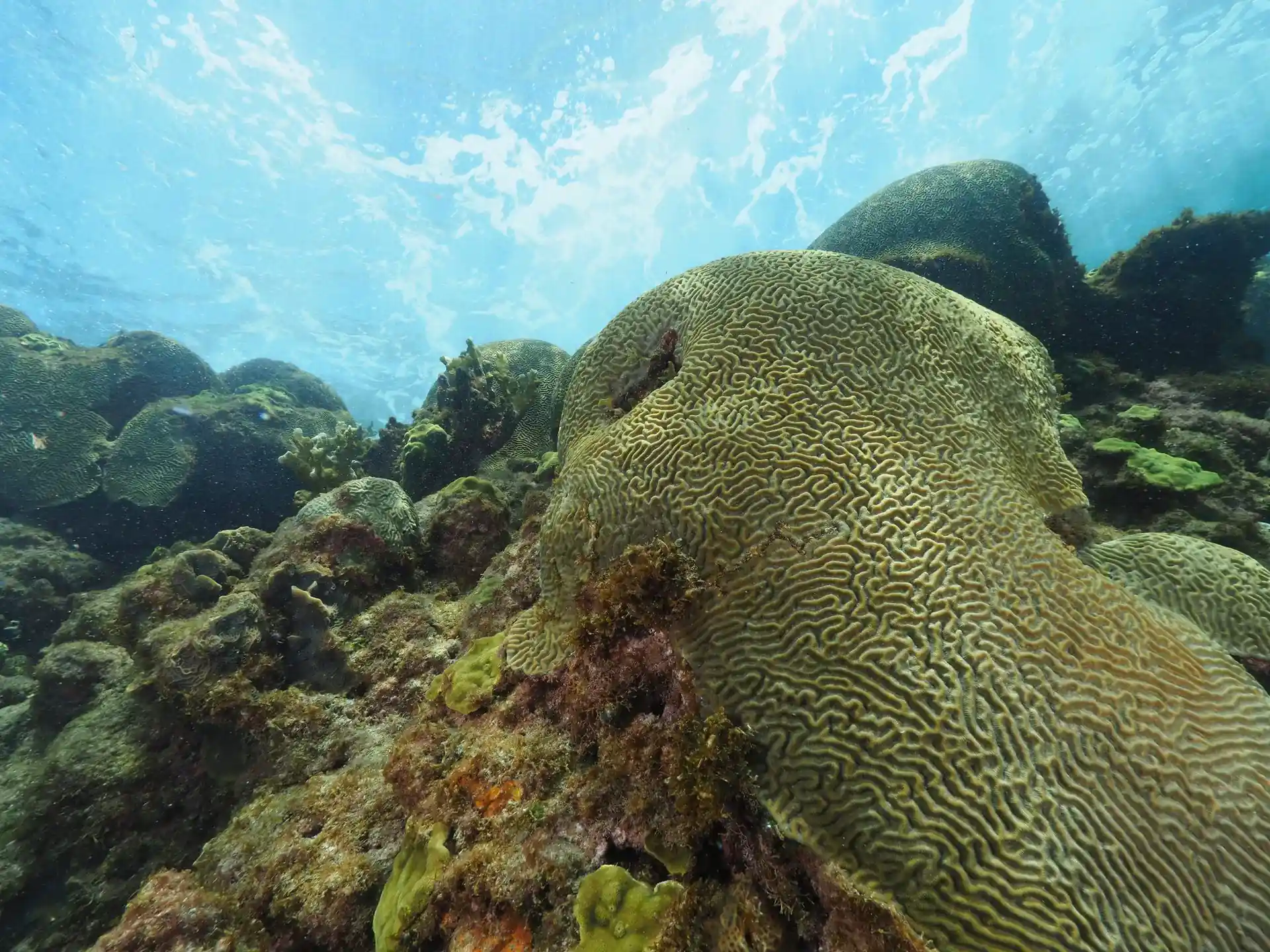 Dive site photo