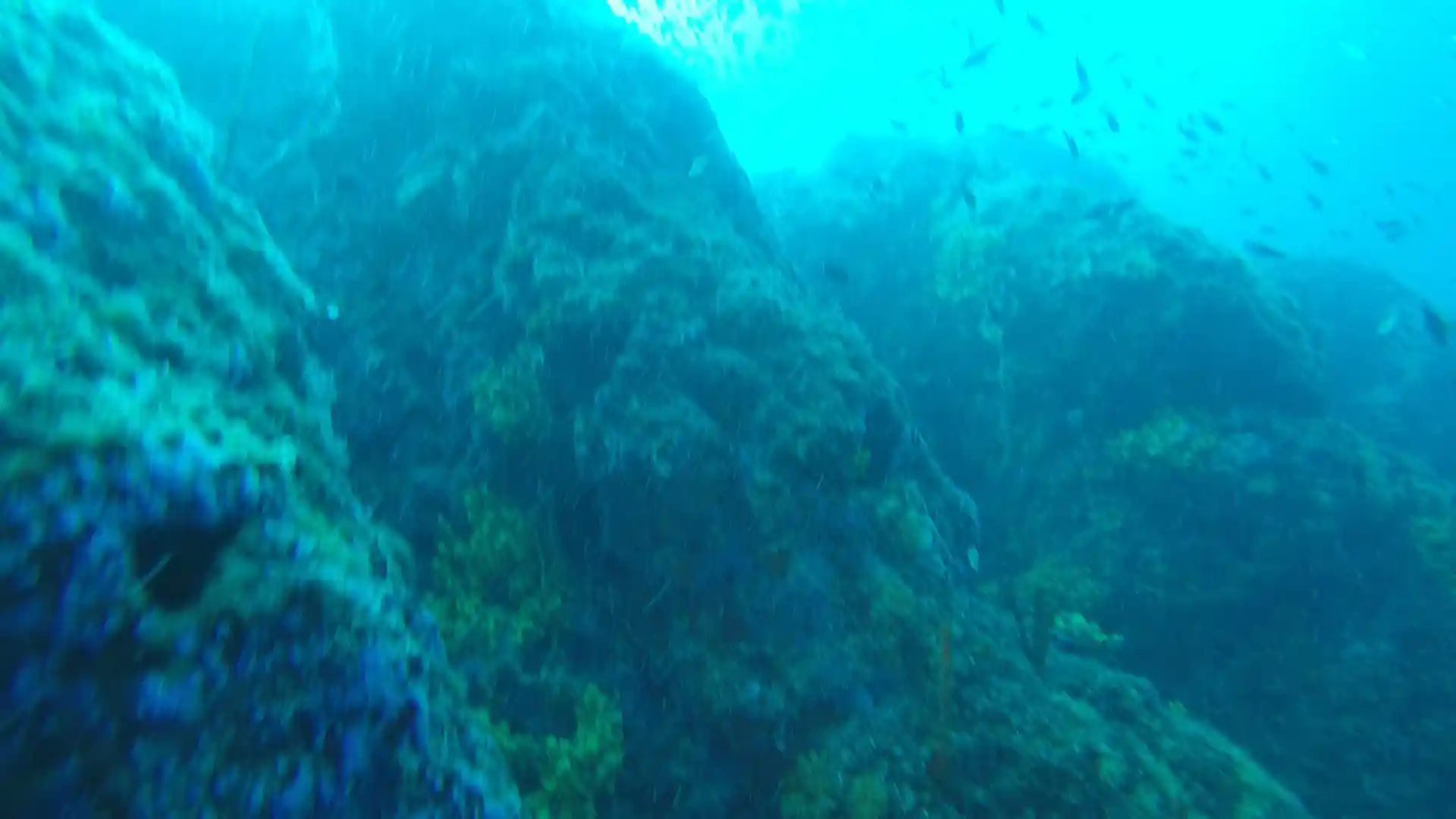 Dive site photo
