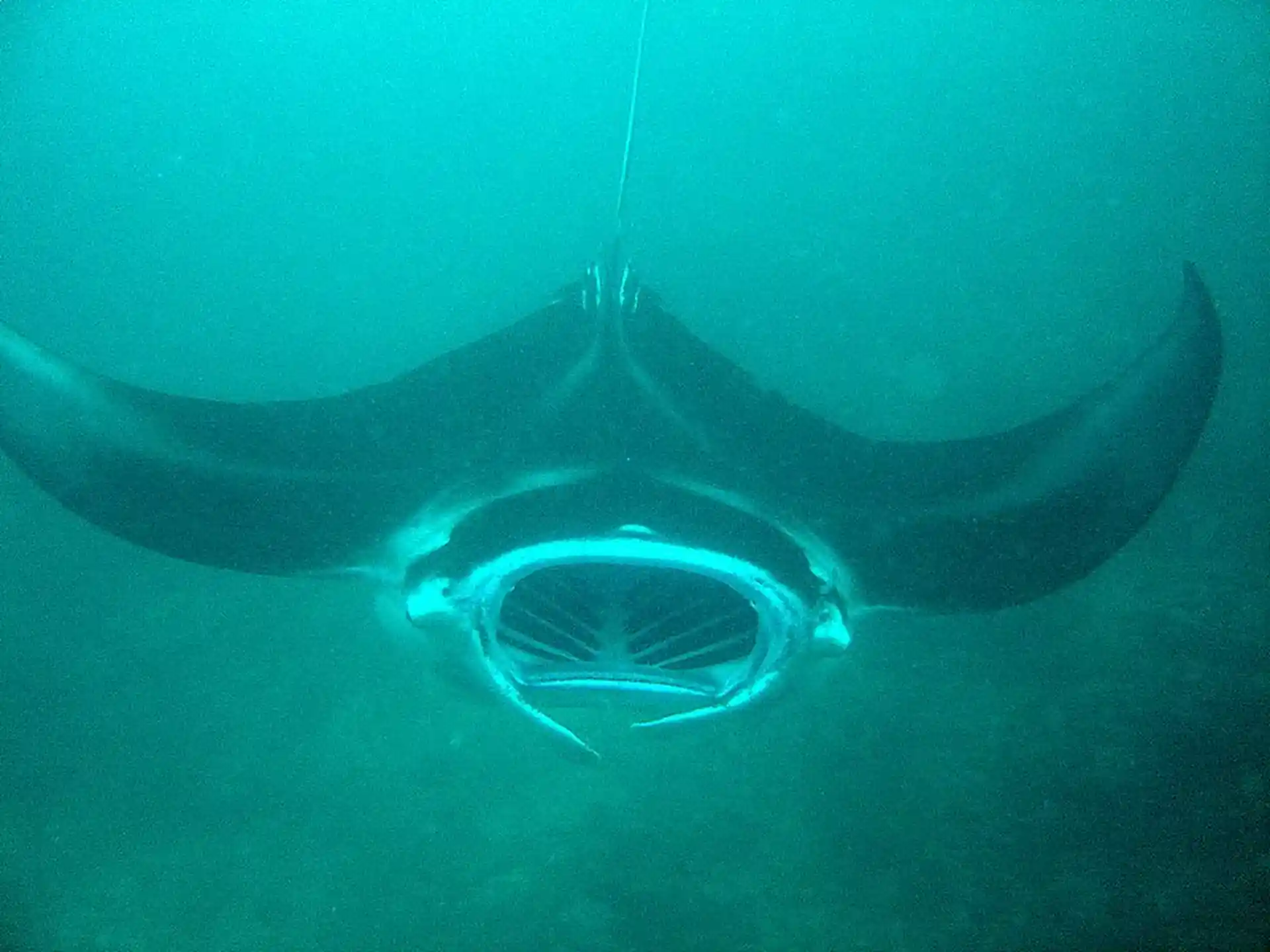 Dive shop photo