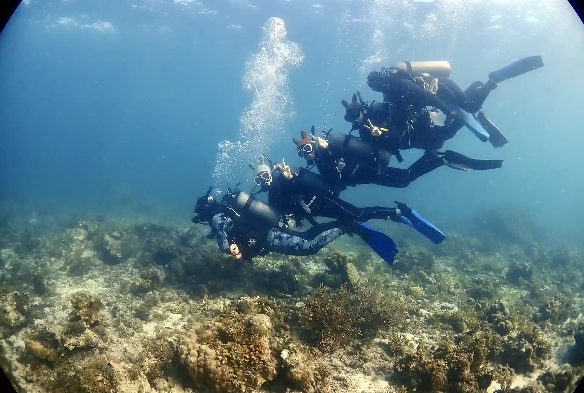 Dive shop photo