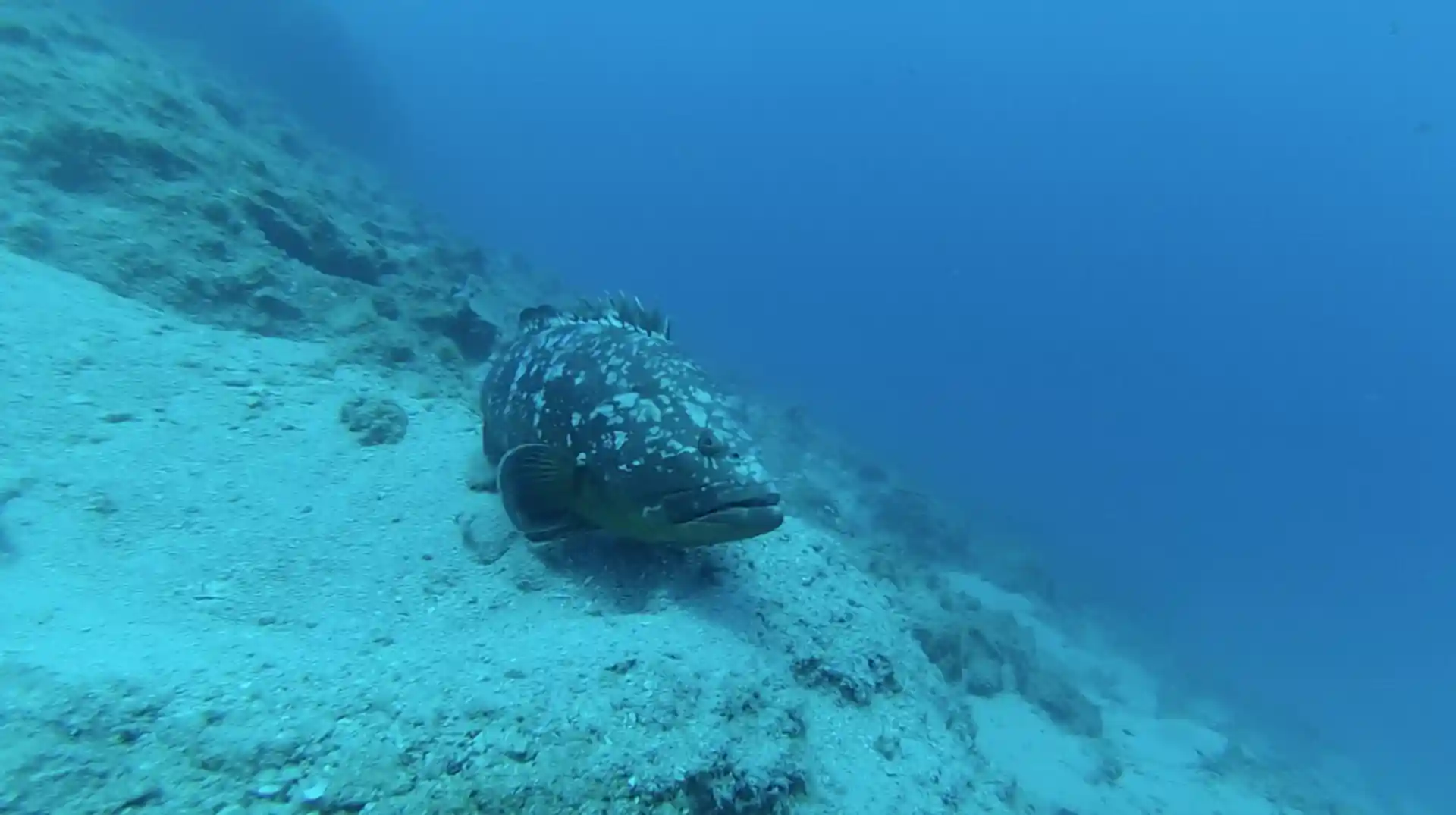Dive site photo