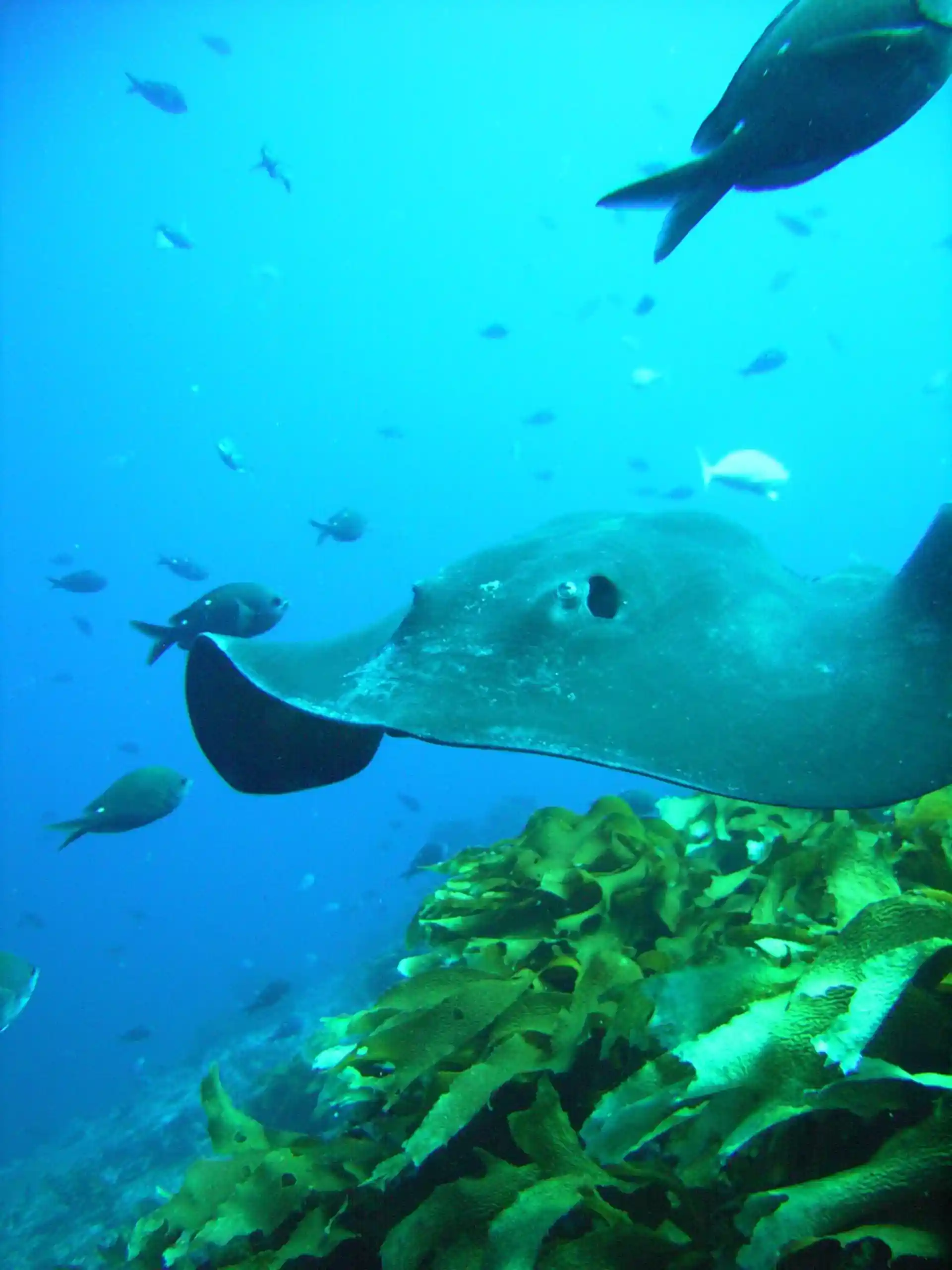 Dive site photo