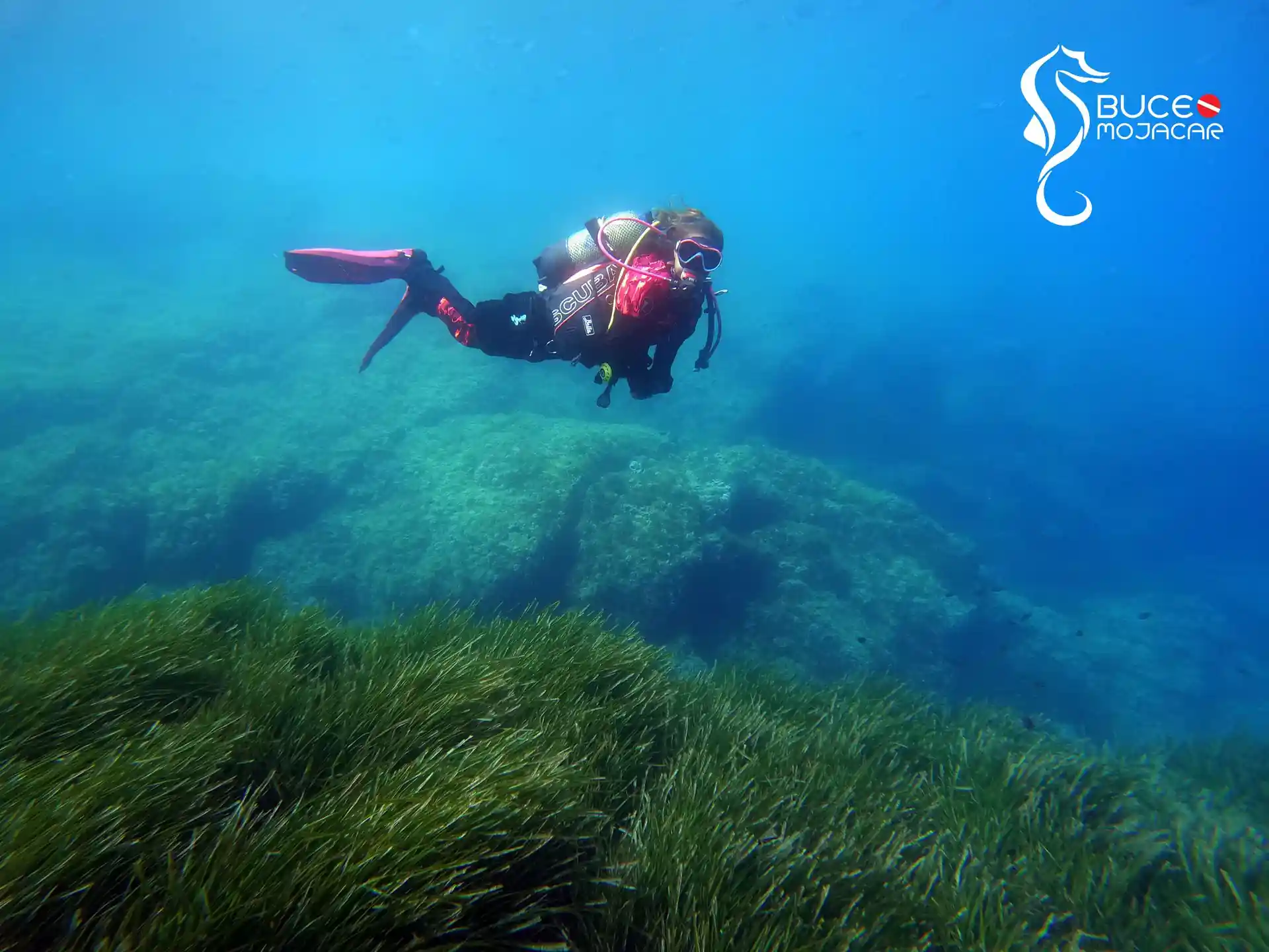 Dive site photo