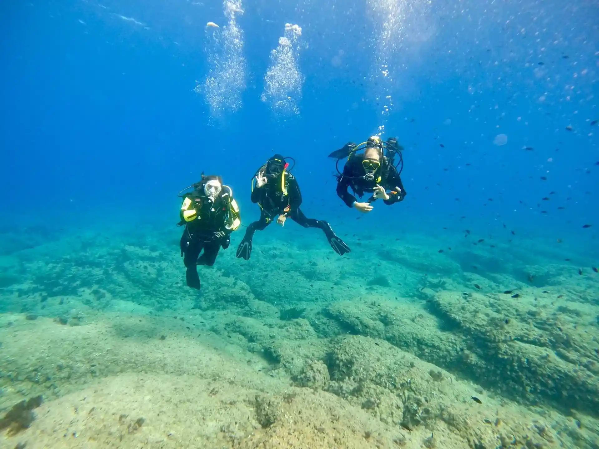 Dive shop photo