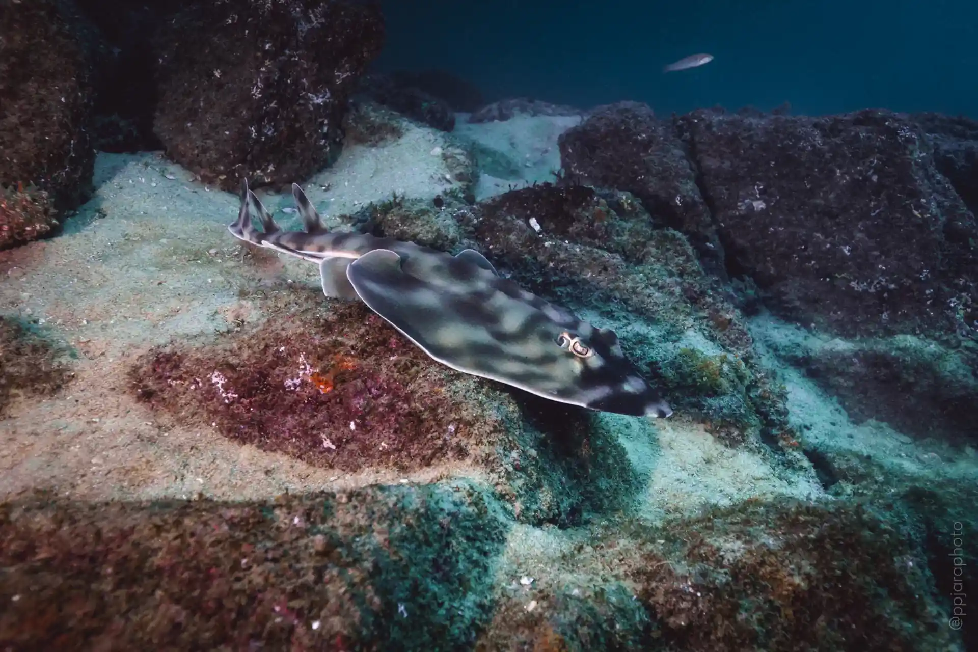 A guitarray on the canyon wall