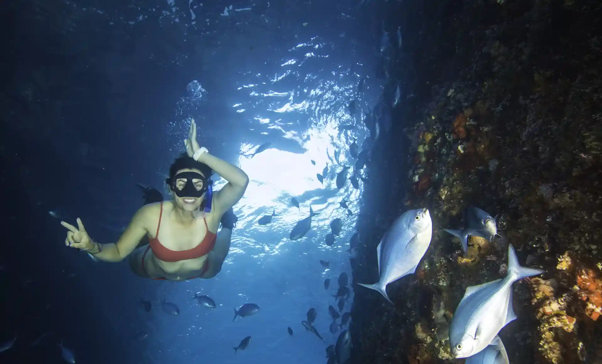 Dive site photo