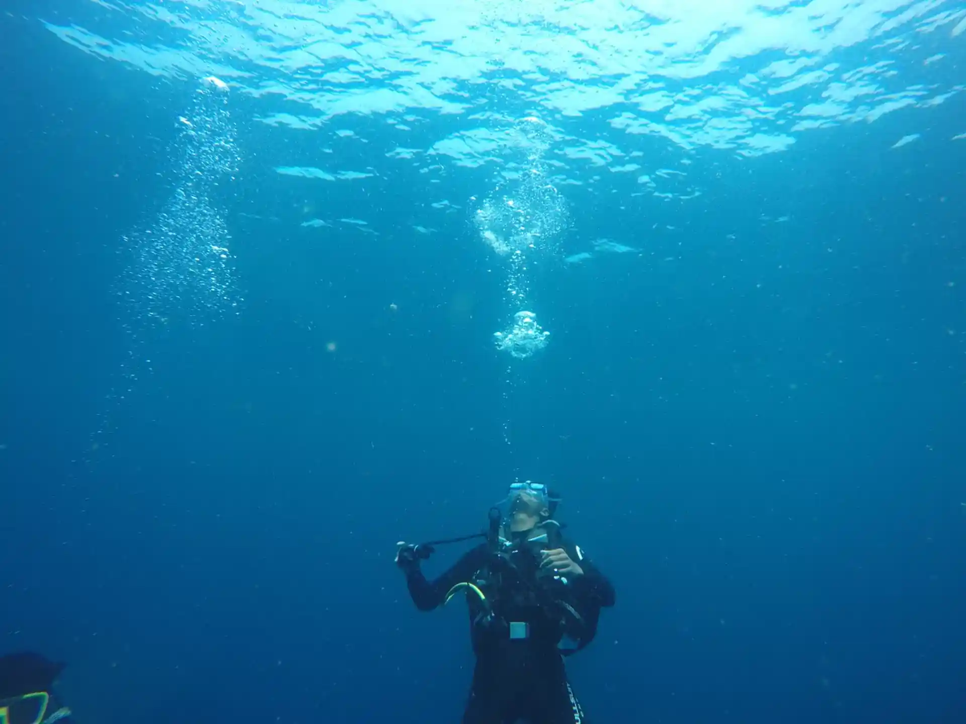 Dive shop photo