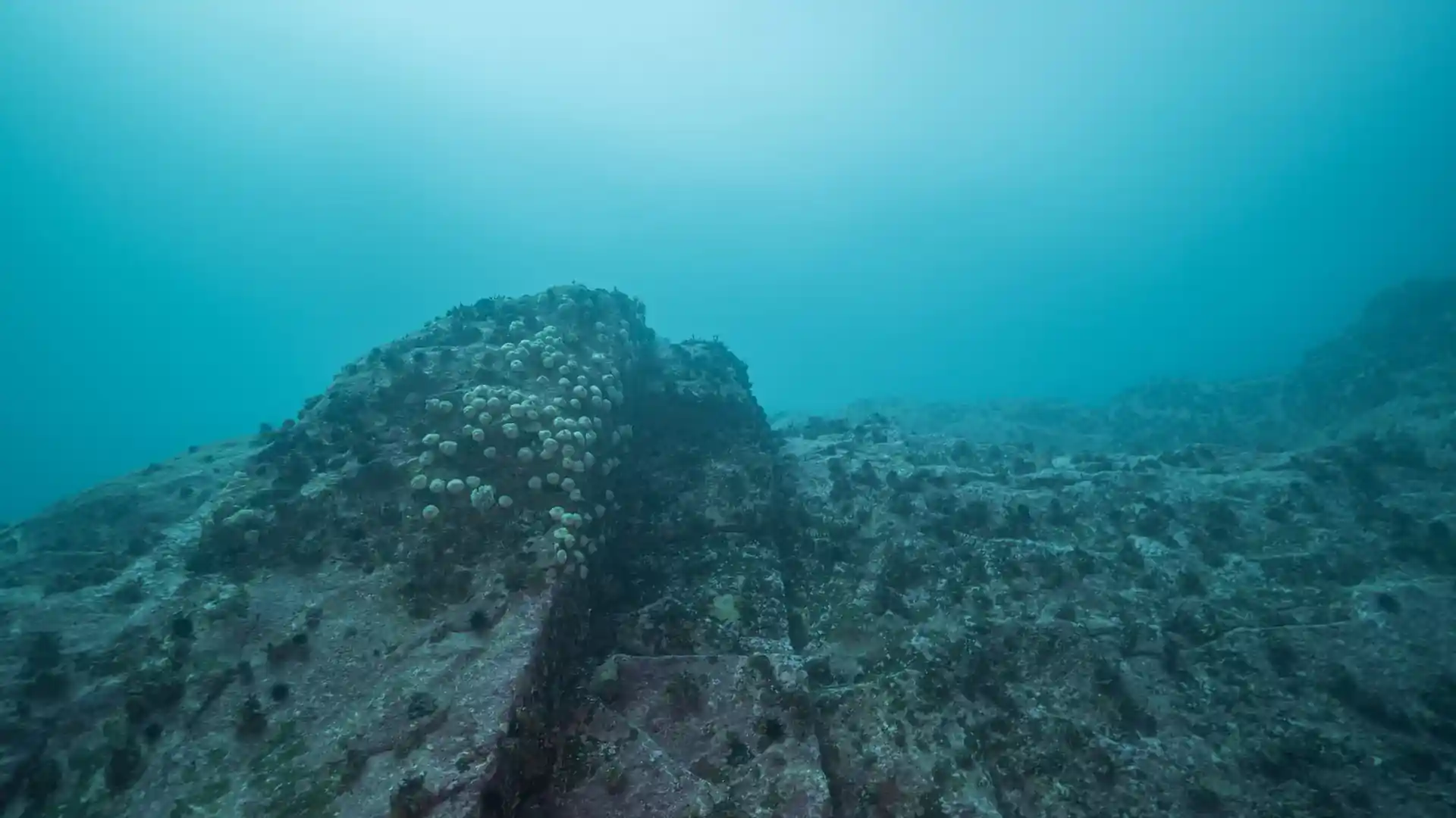 다이빙 포인트 사진