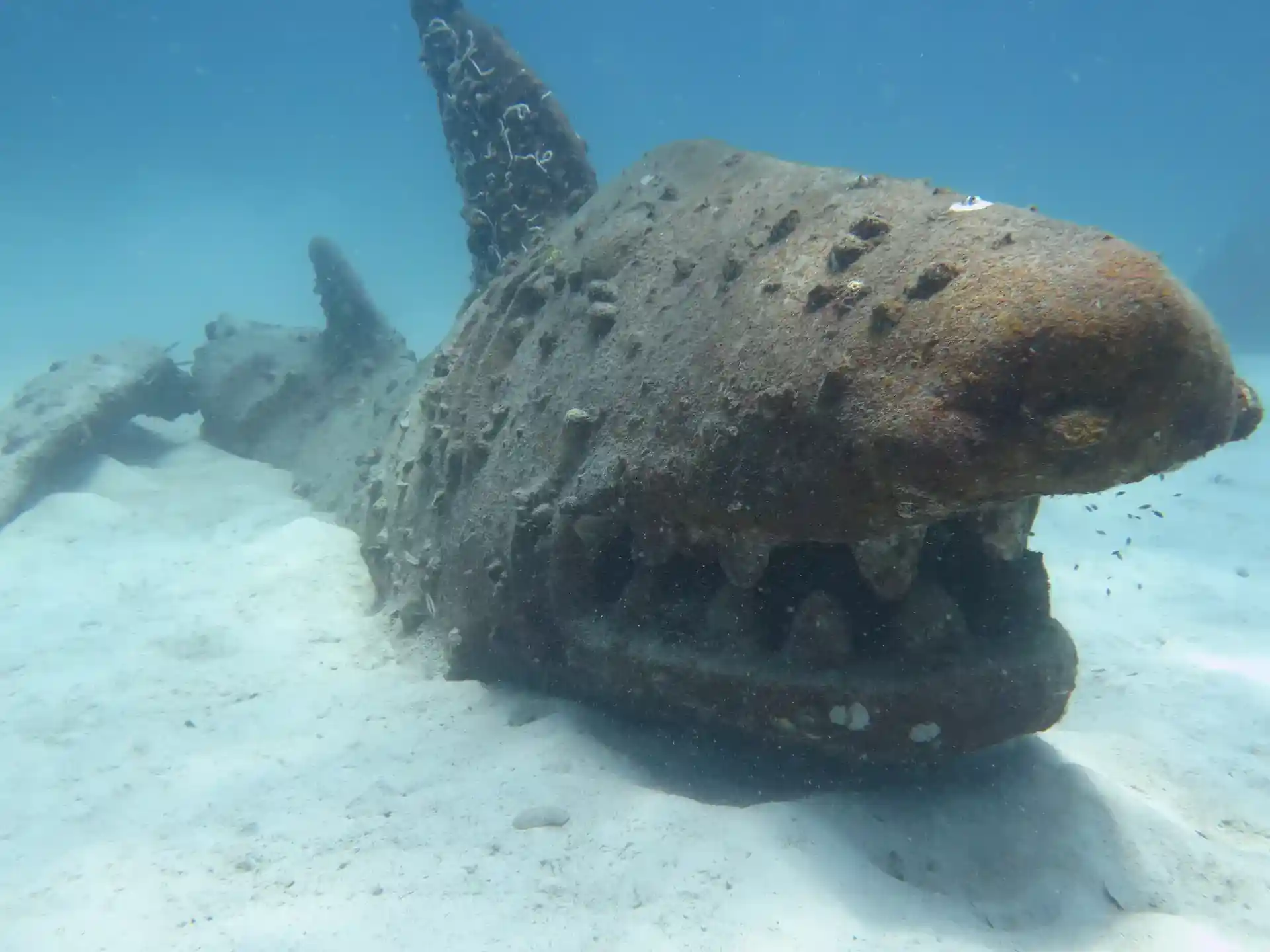 Photo du site de plongée