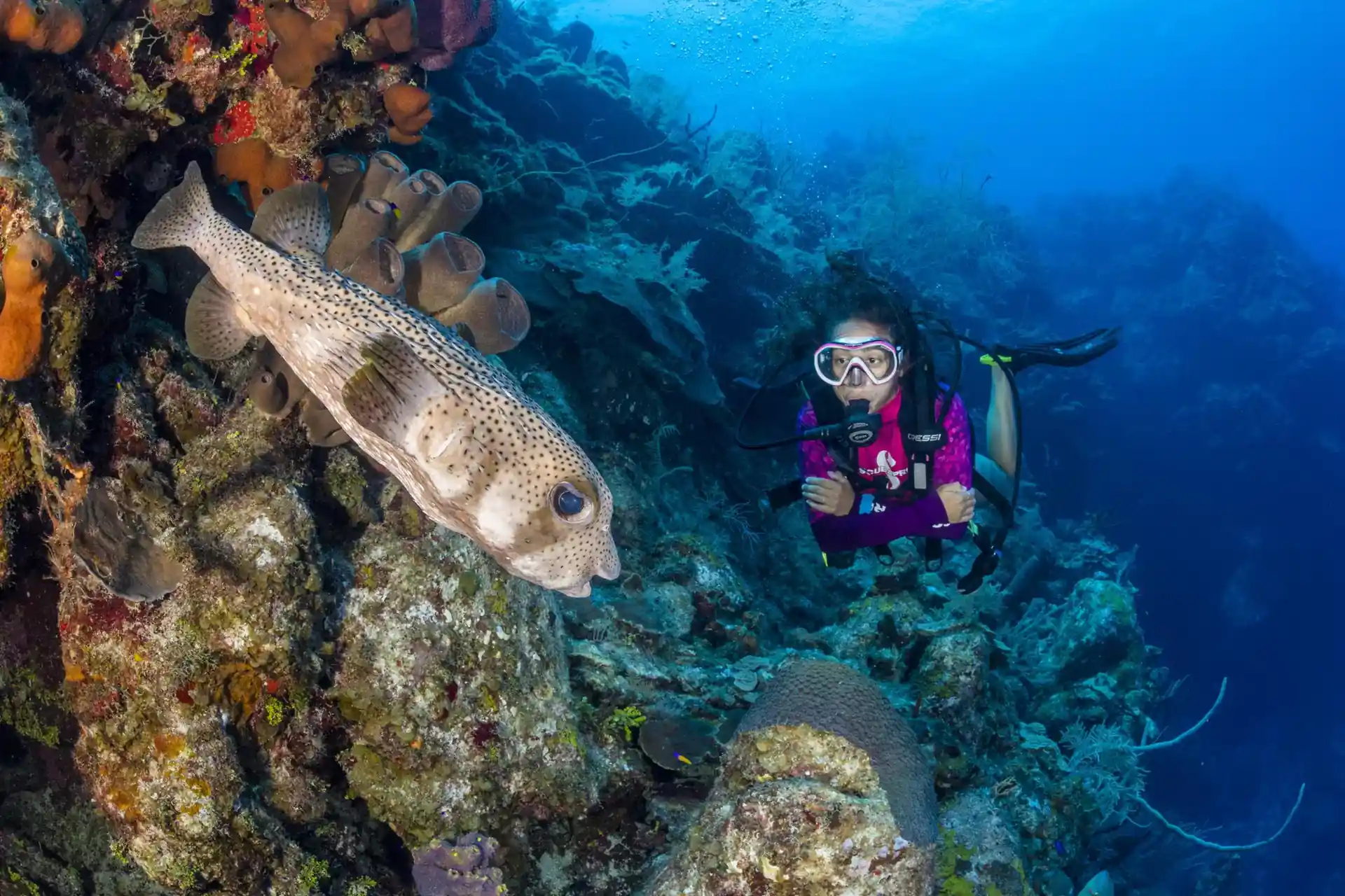 Dive site photo