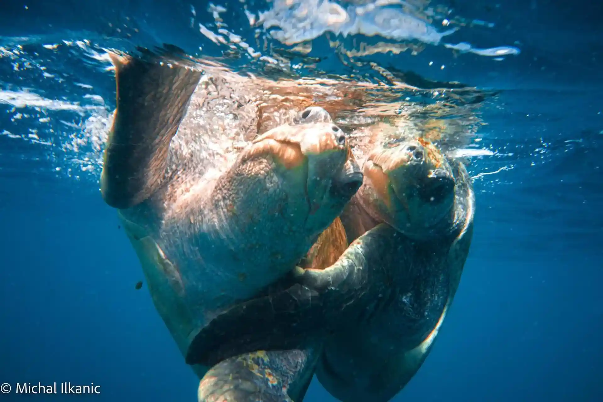 Foto de la actividad