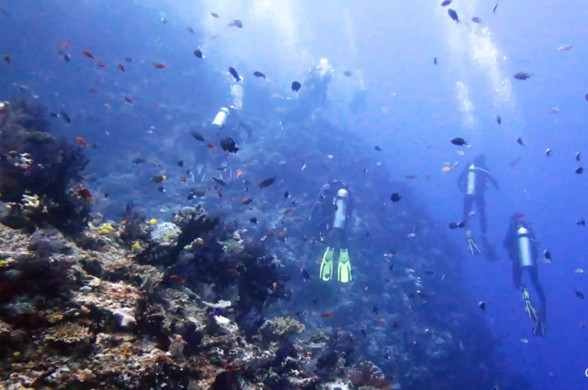 Dive site photo