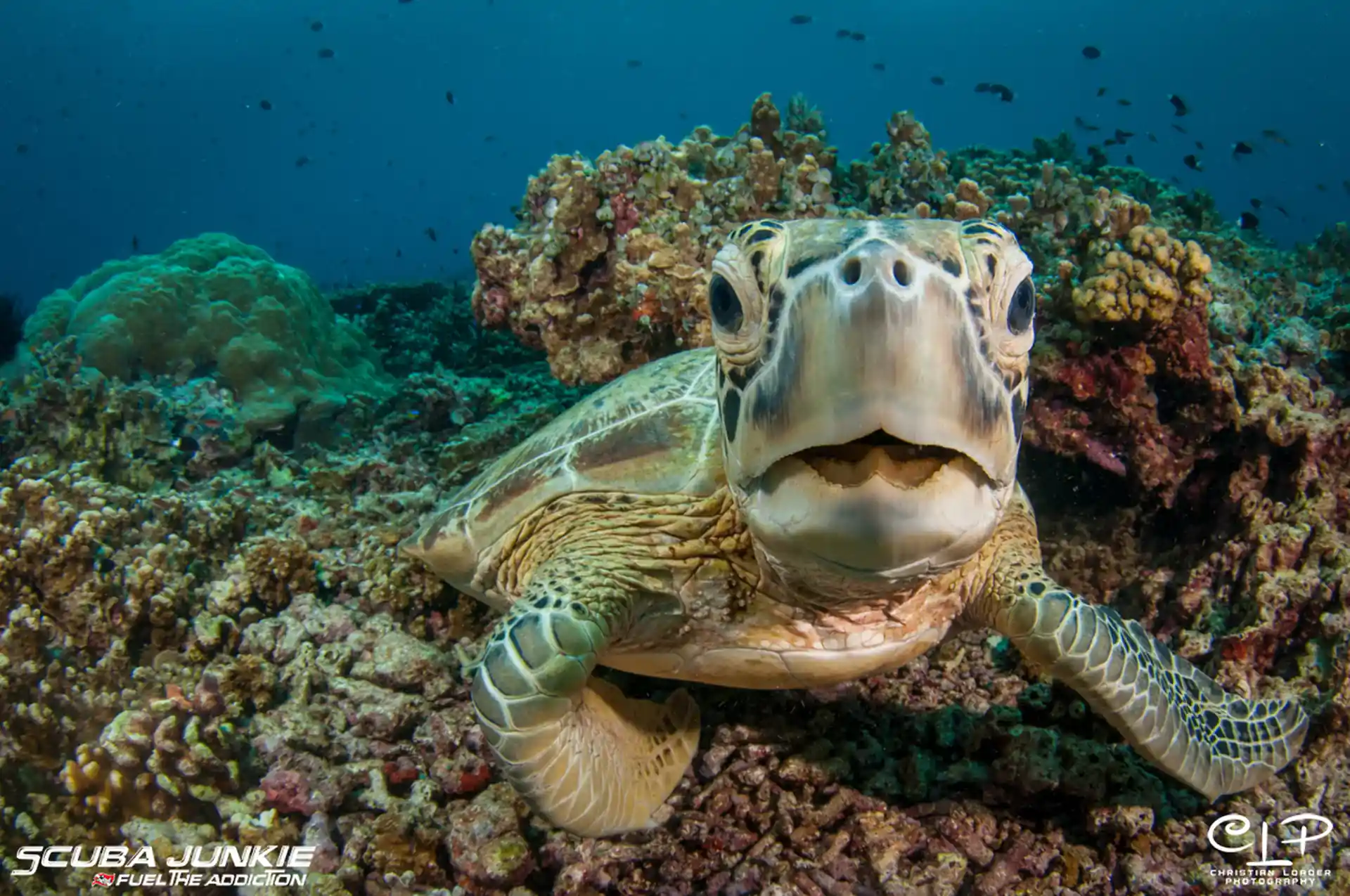 Photo de l'activité