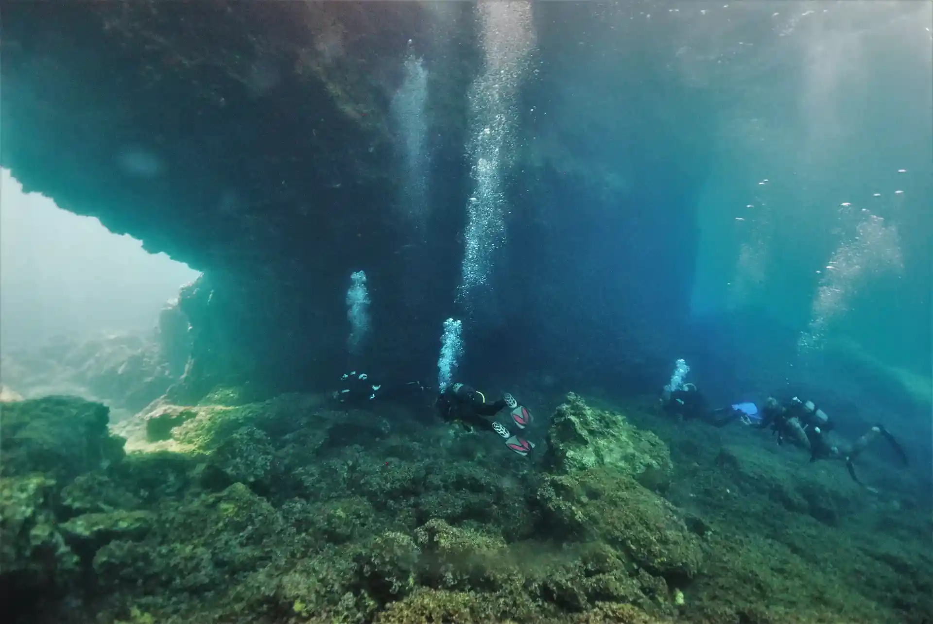 Dive site photo