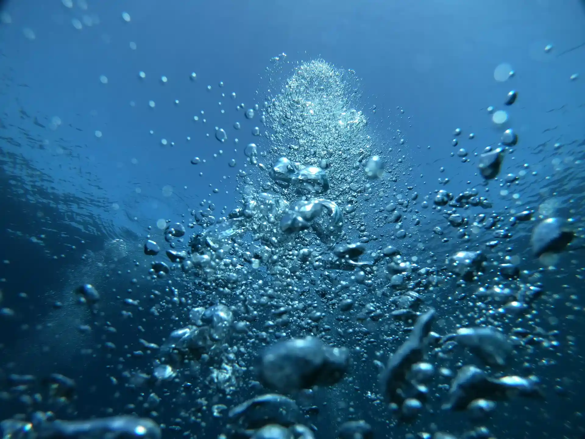 ダイビングサイトの写真