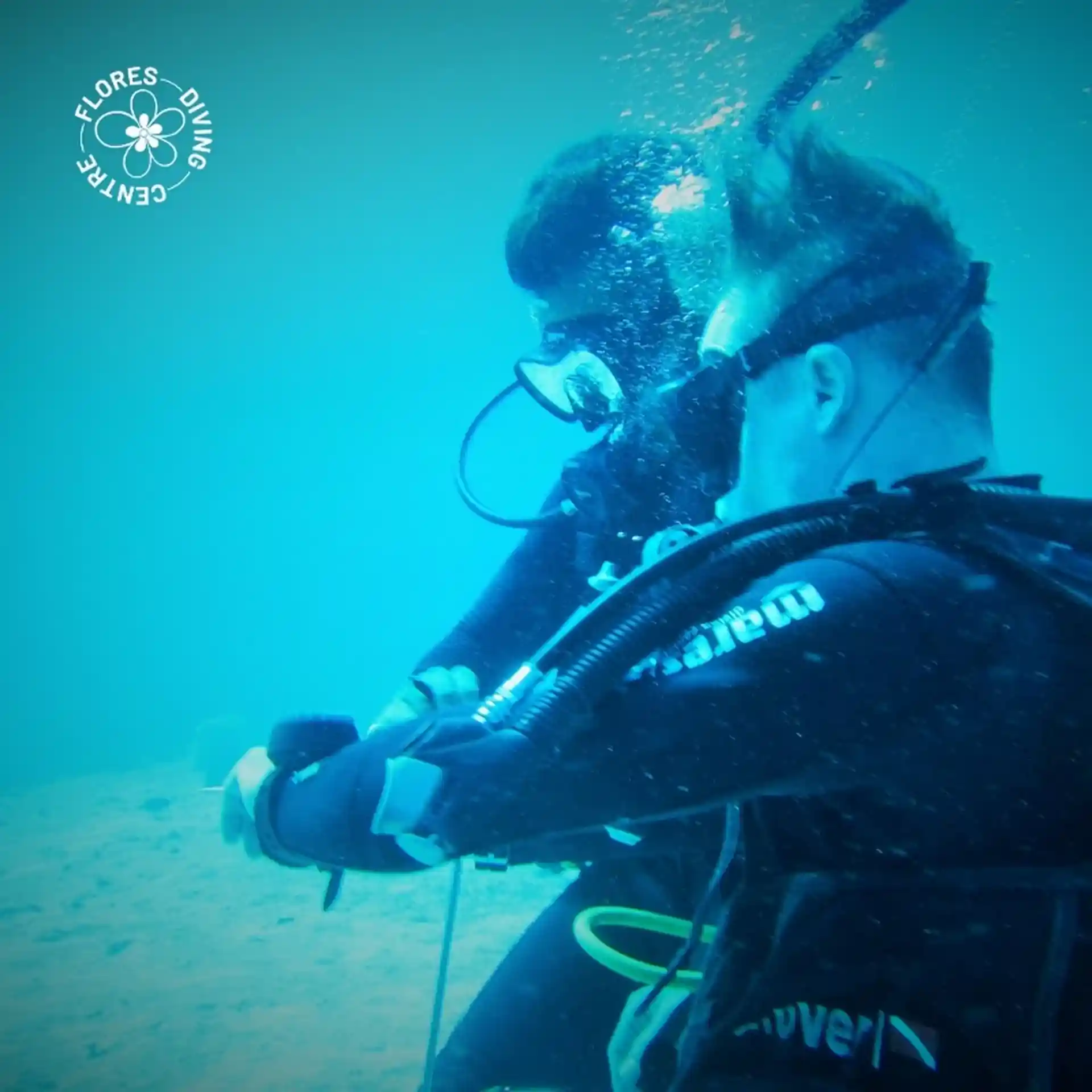 Photo de l'activité