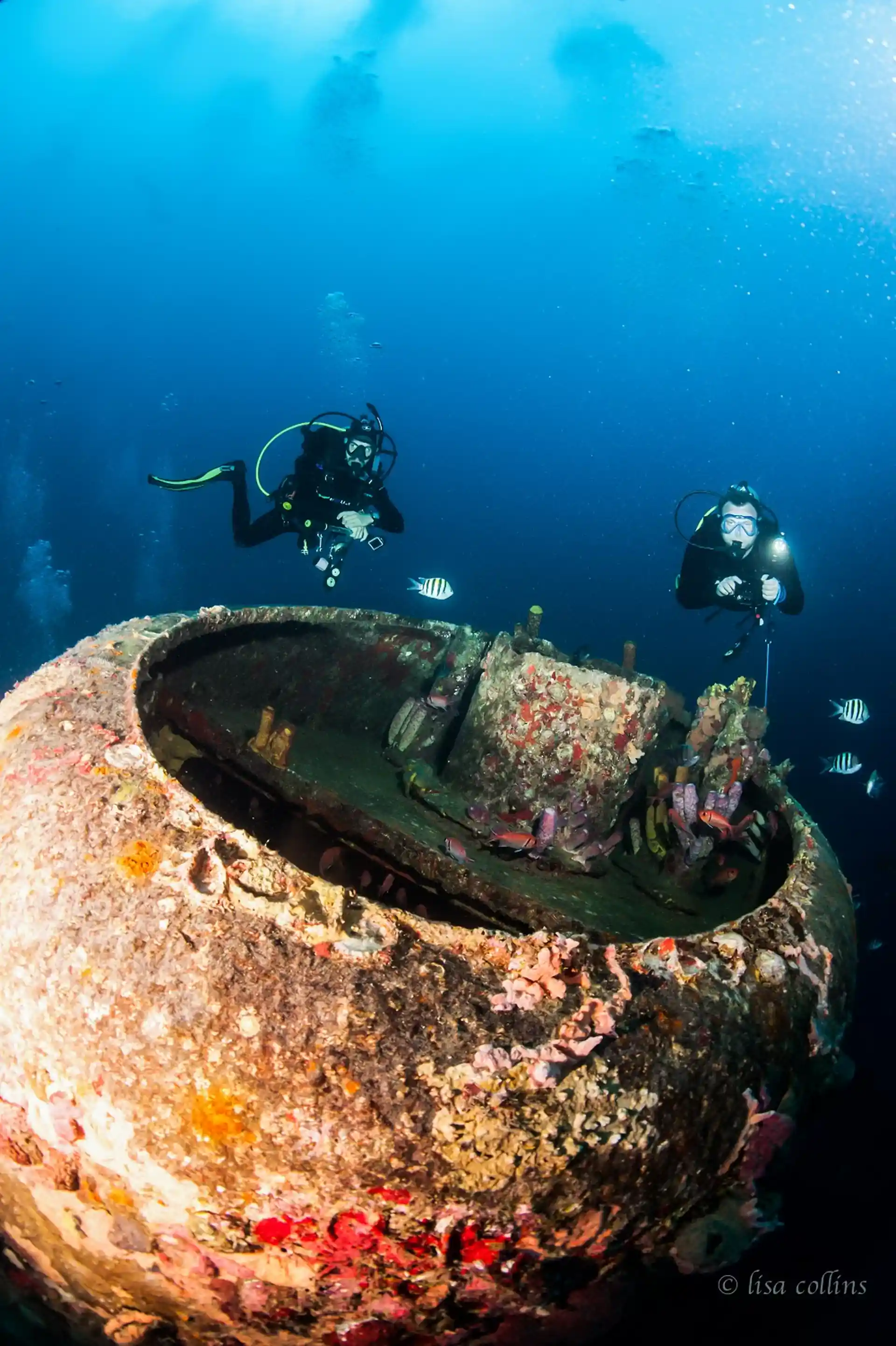 Photo de l'activité