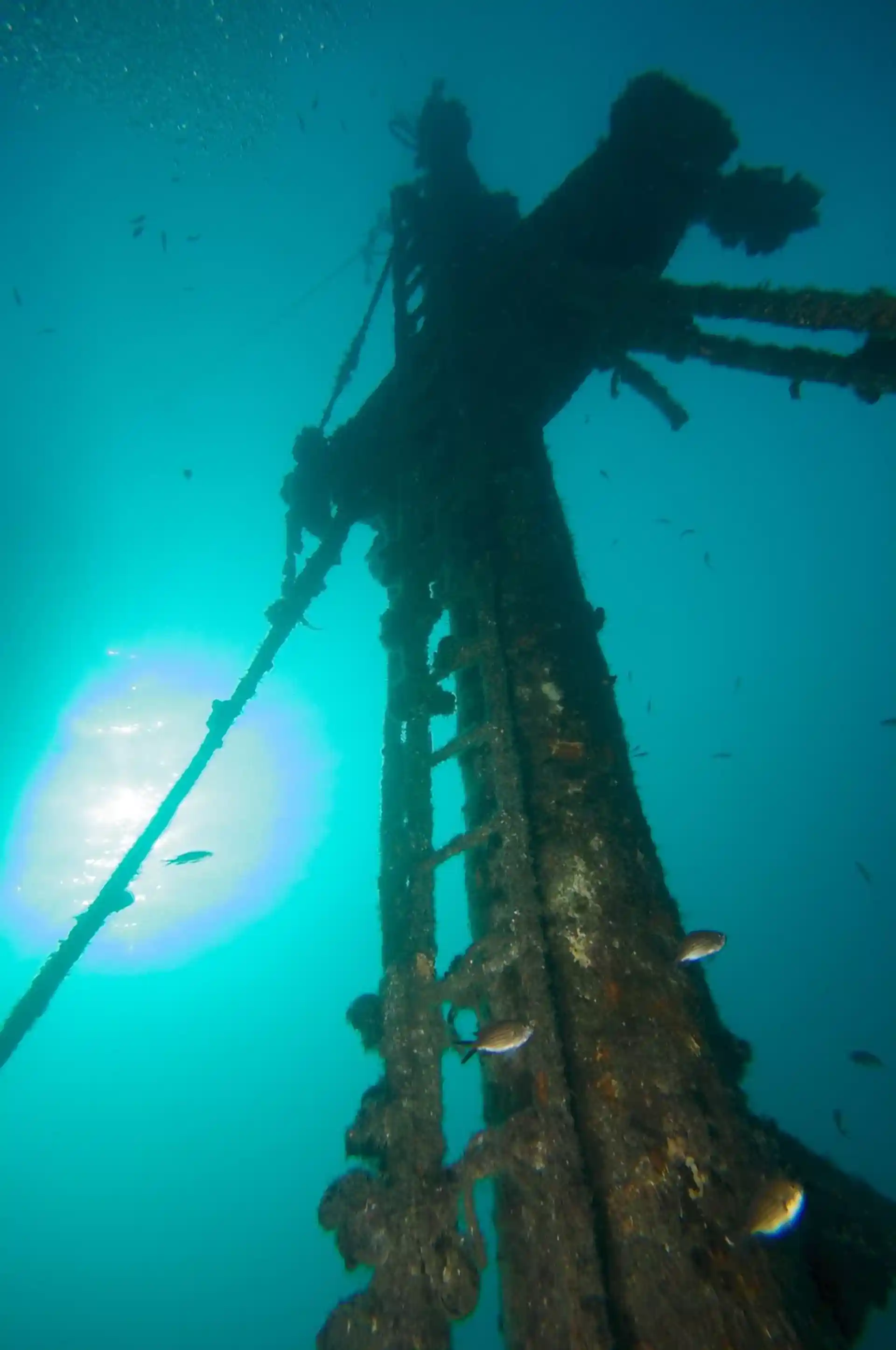 Dive site photo