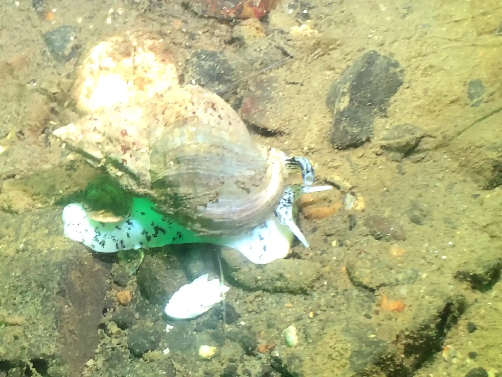 Foto de la actividad