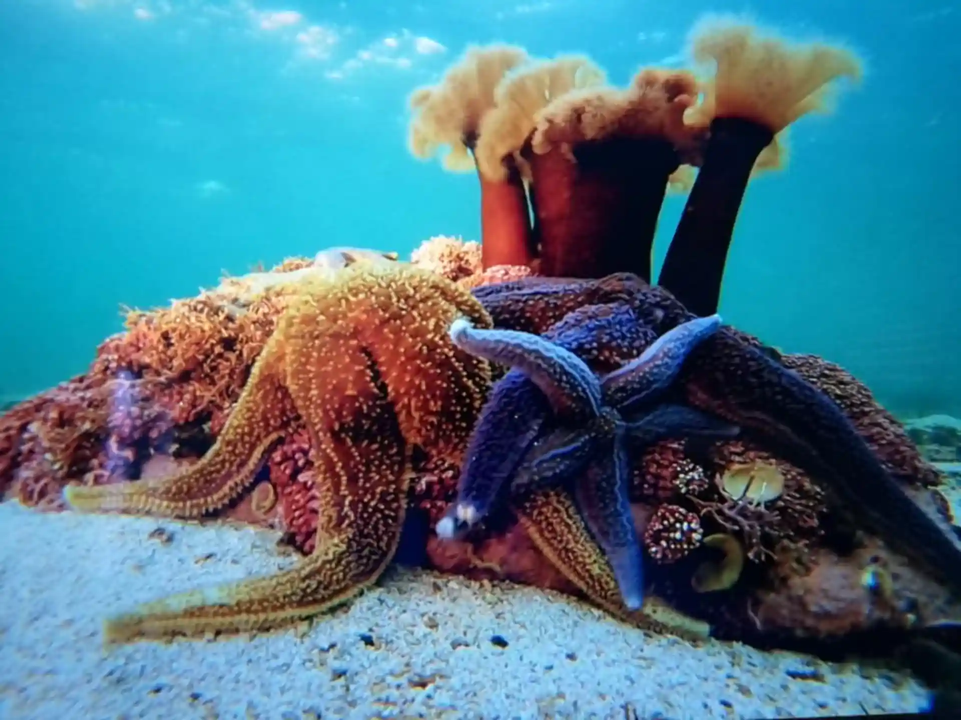 Dive shop photo