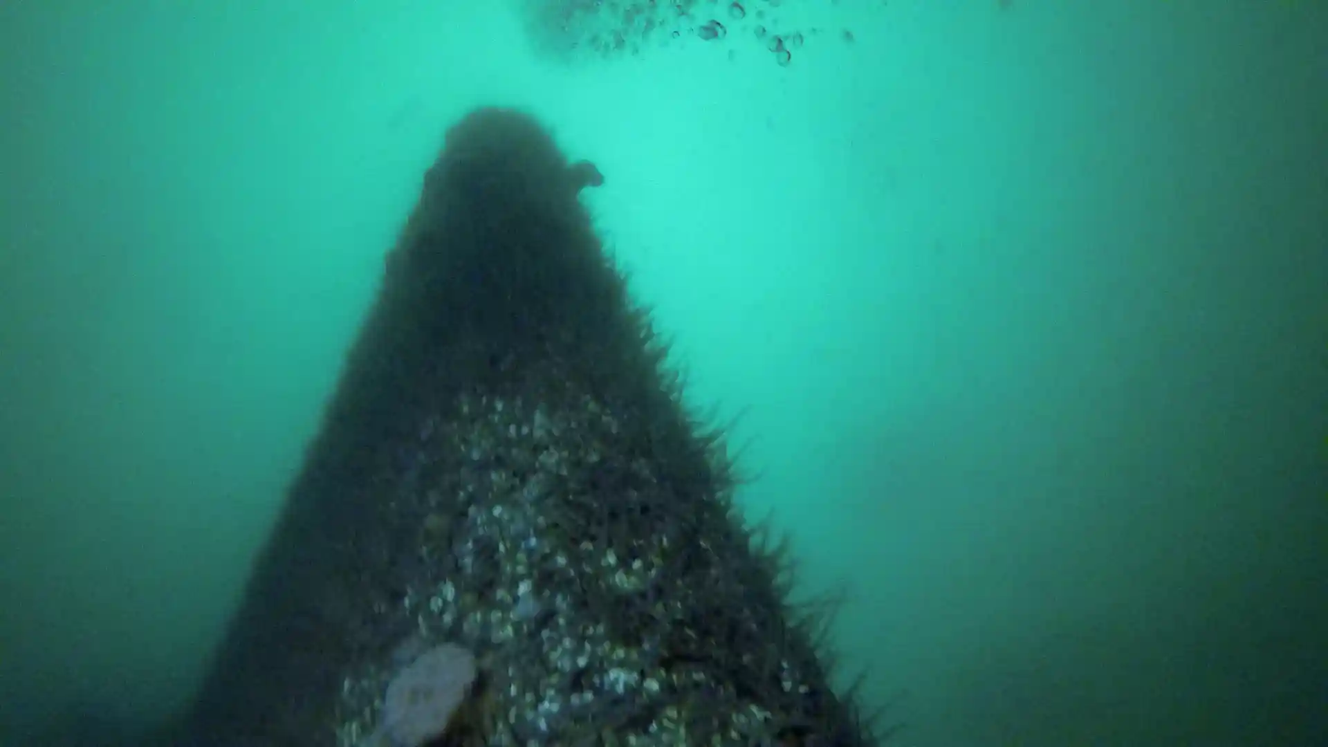 Foto del sitio de buceo