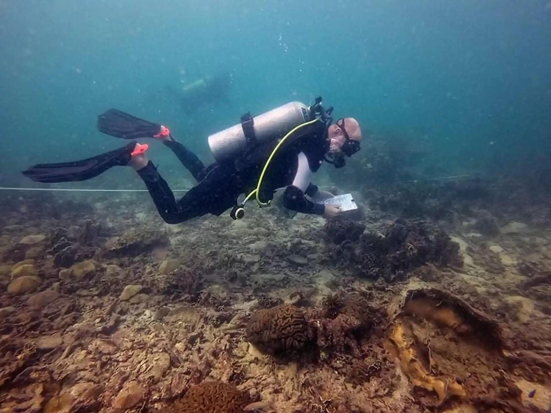 Adventure Peak Performance Buoyancy