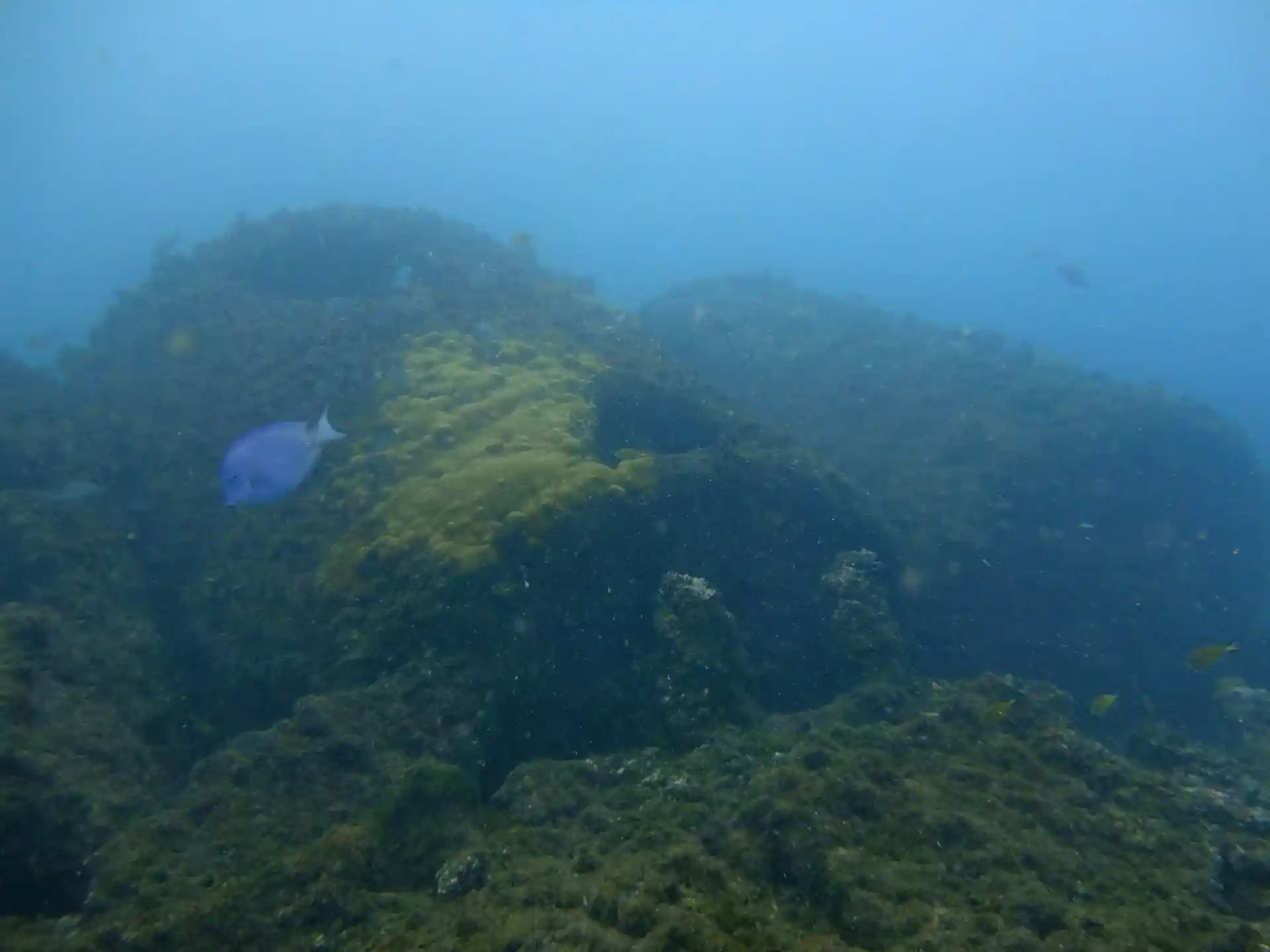 Dive site photo