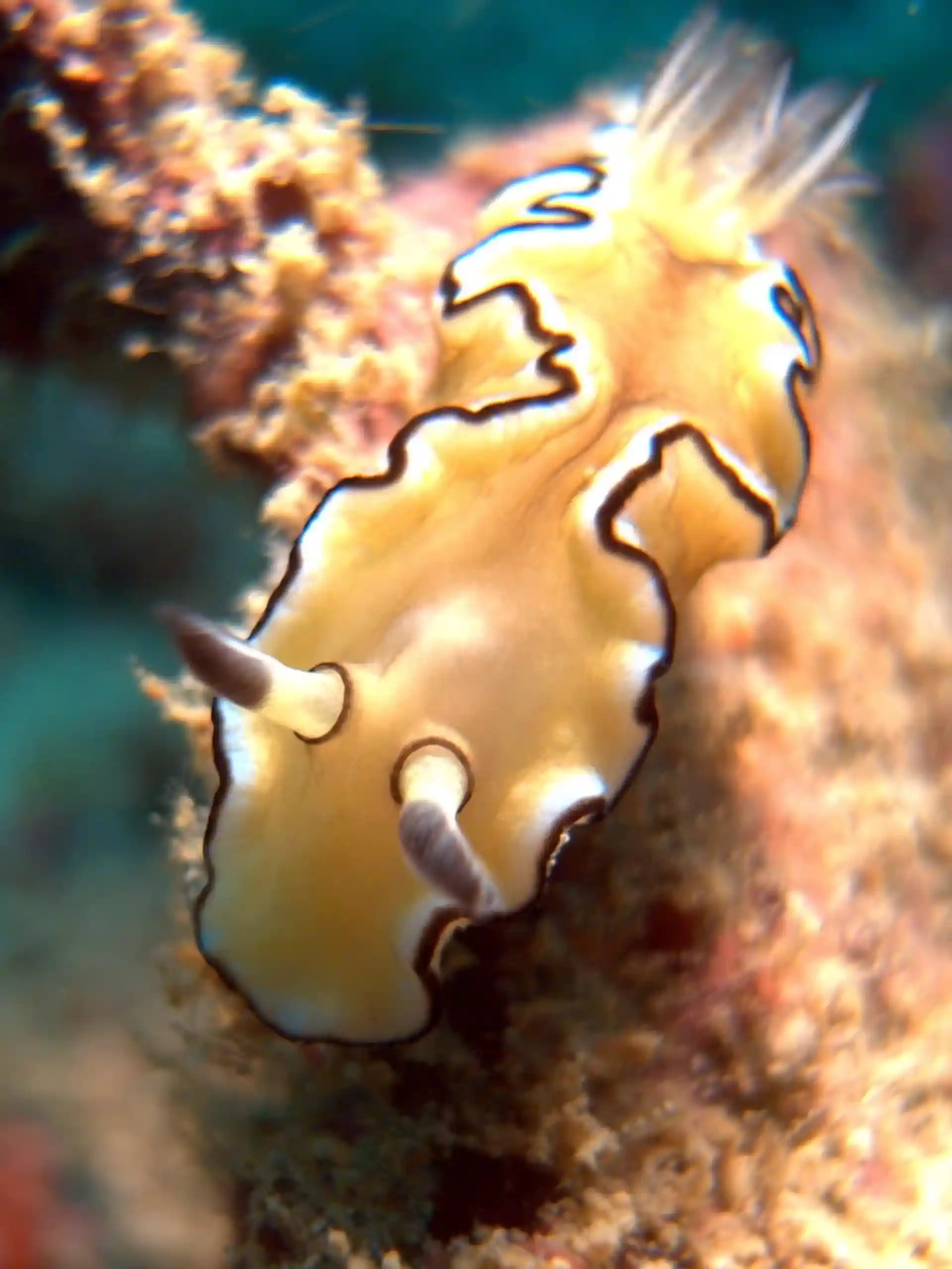 Foto del sitio de buceo