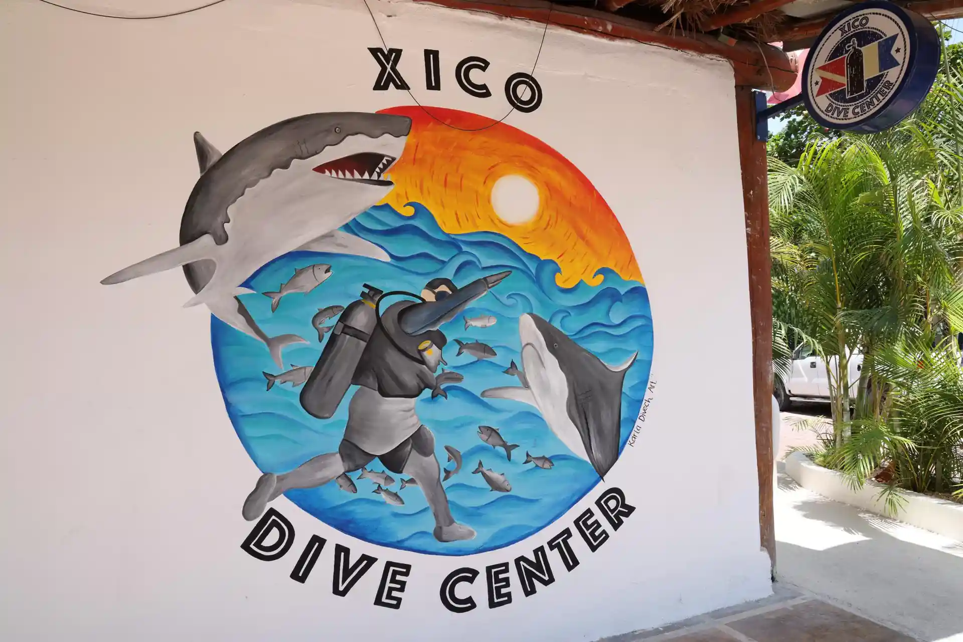 XICO FEEDING THE BULL SHARKS