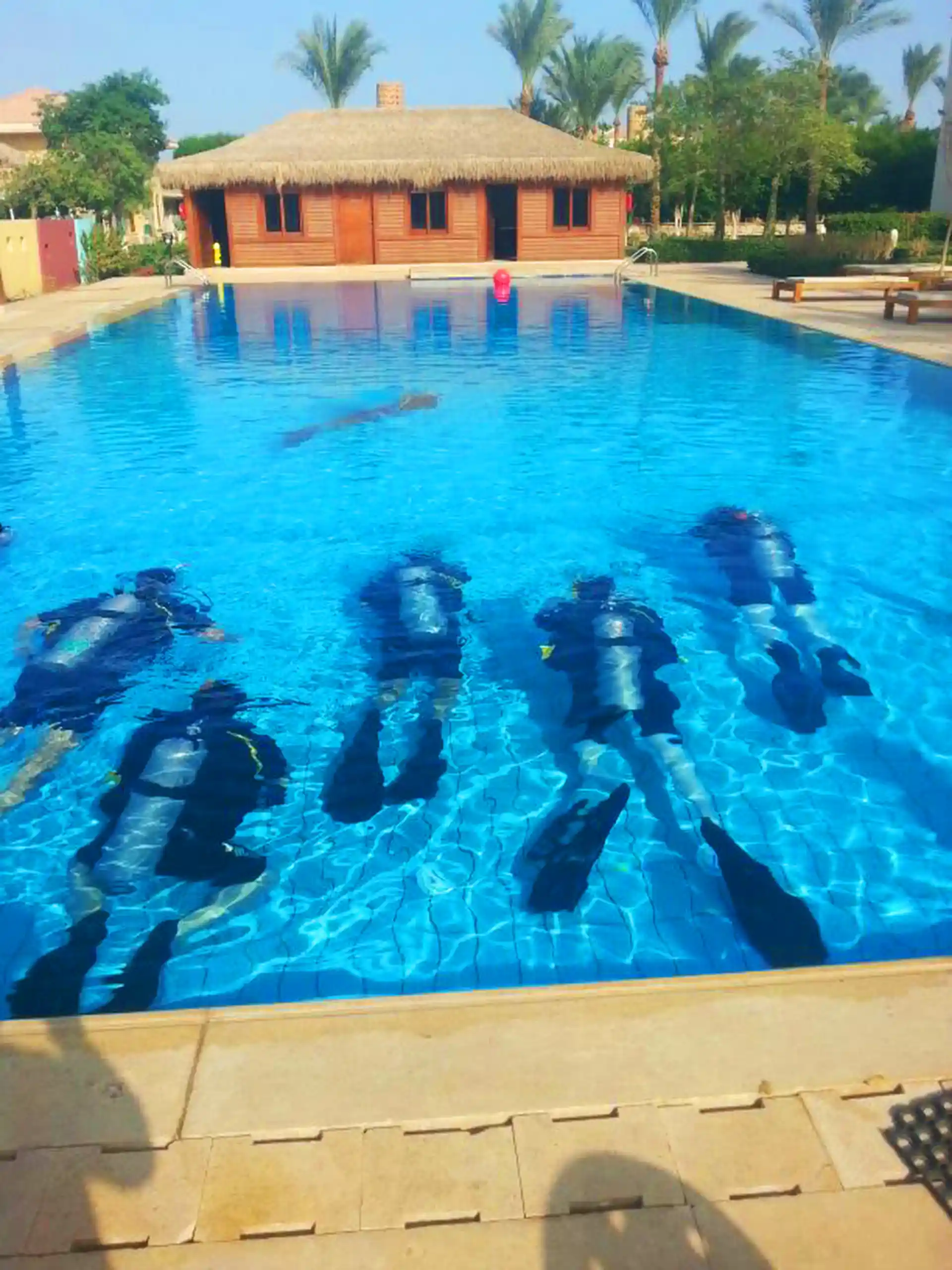 Our pool is specially designed for diving courses