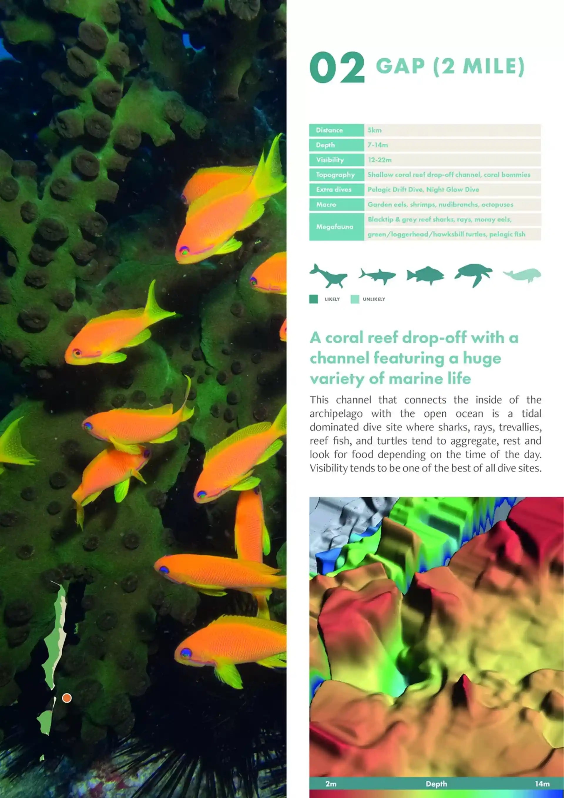 다이빙 포인트 사진