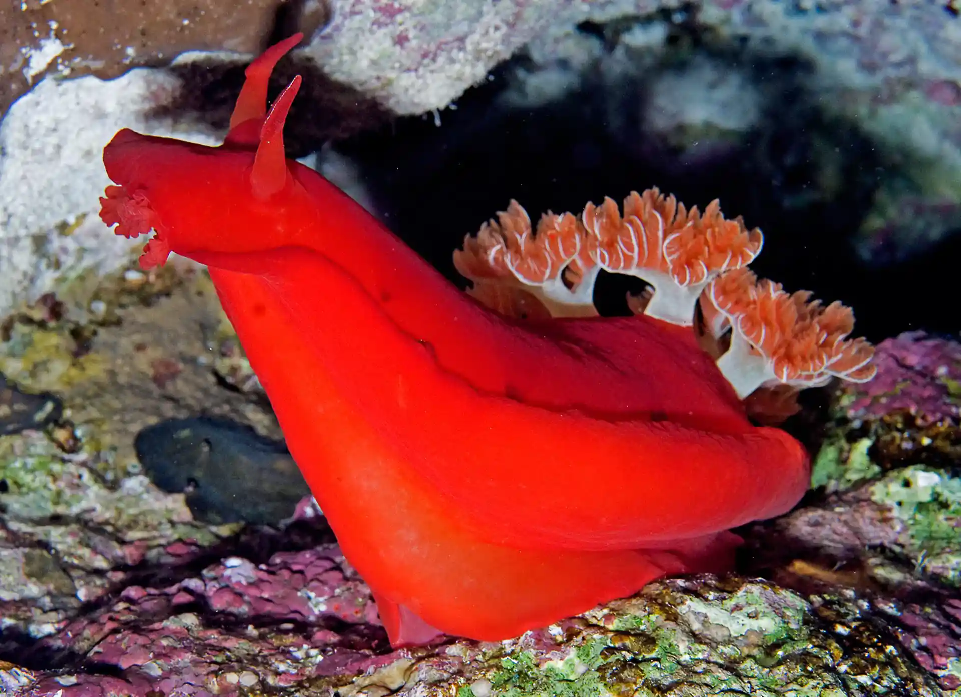 Dive shop photo