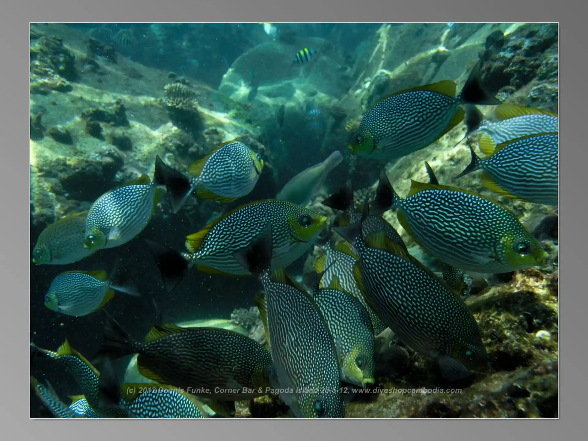 Dive site photo