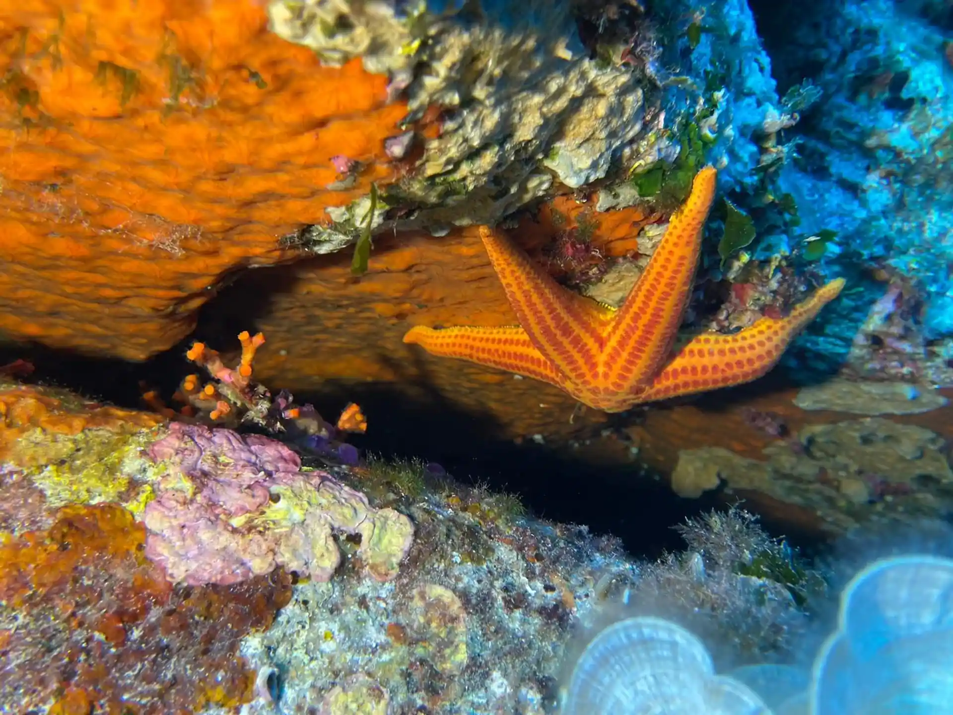 Dive site photo