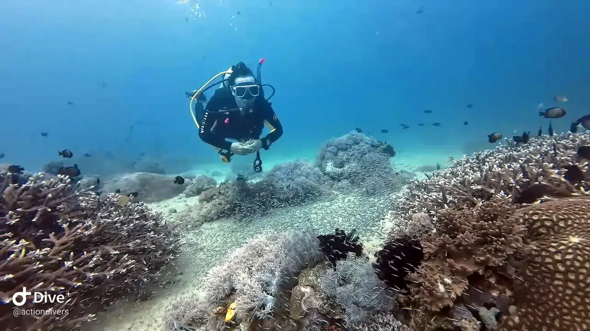 Buoyancy is probably the most important thing to master during the course.