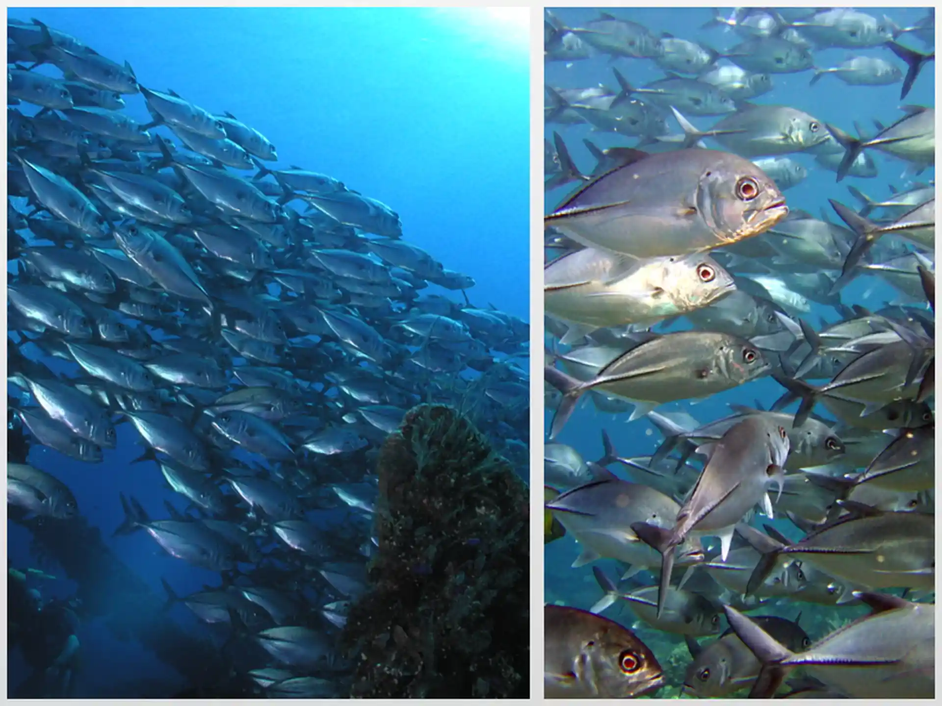 Photo de l'activité