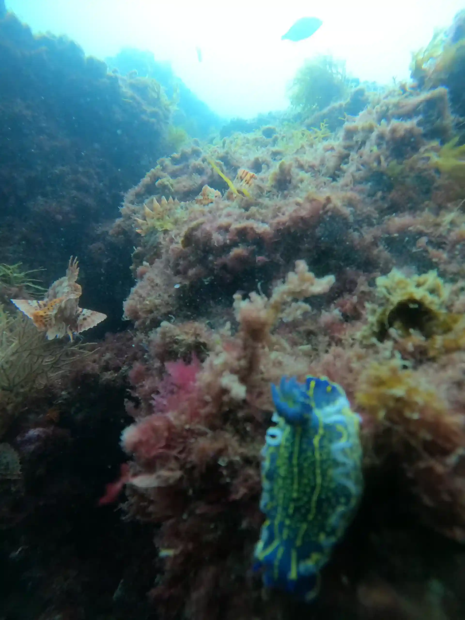 Foto des Tauchplatzes