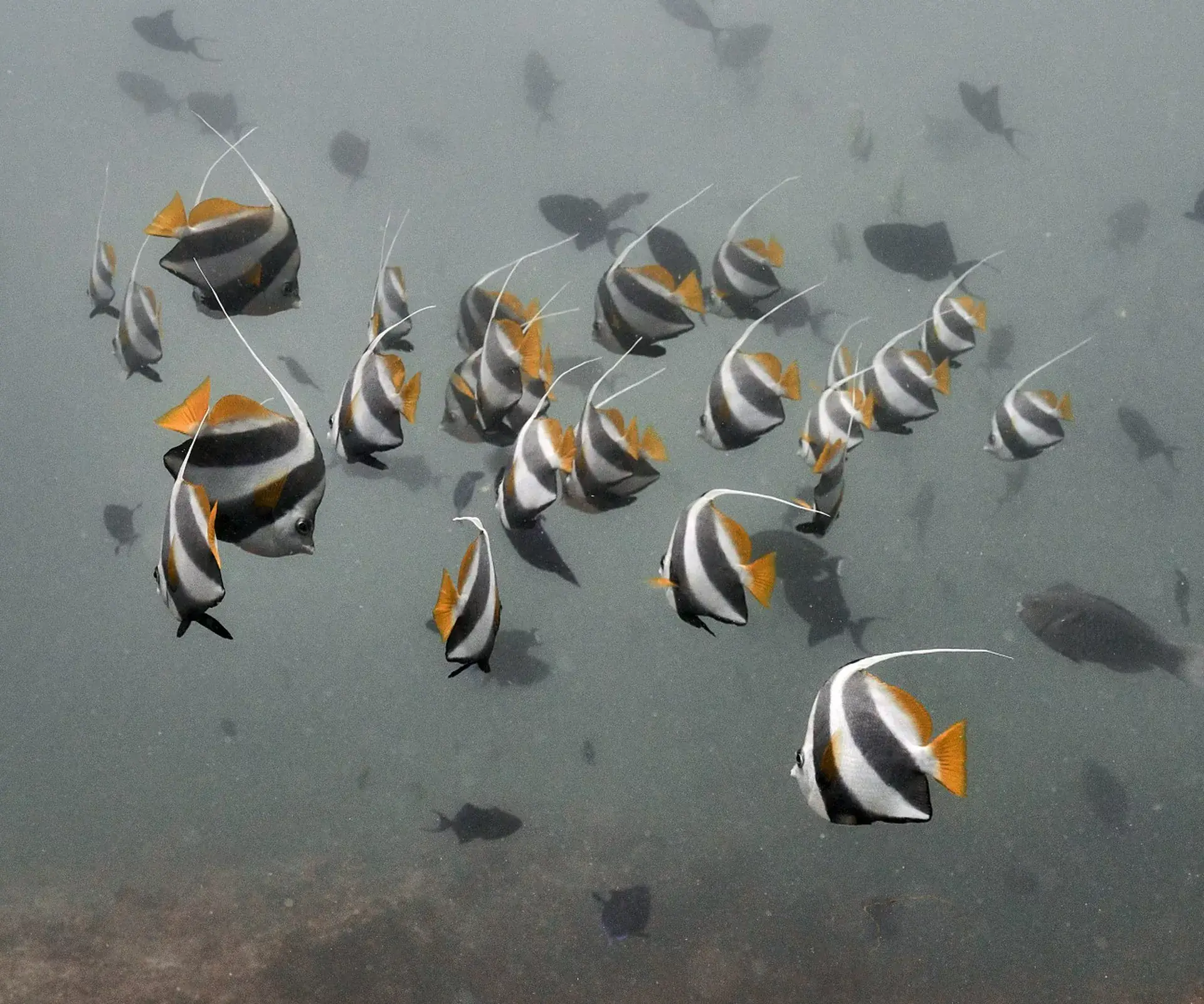 Dive site photo