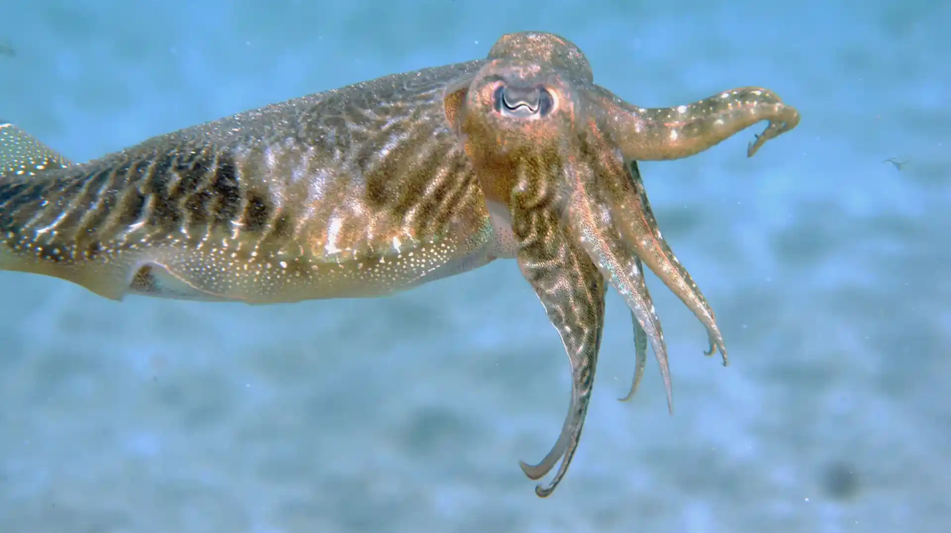 Foto des Tauchplatzes