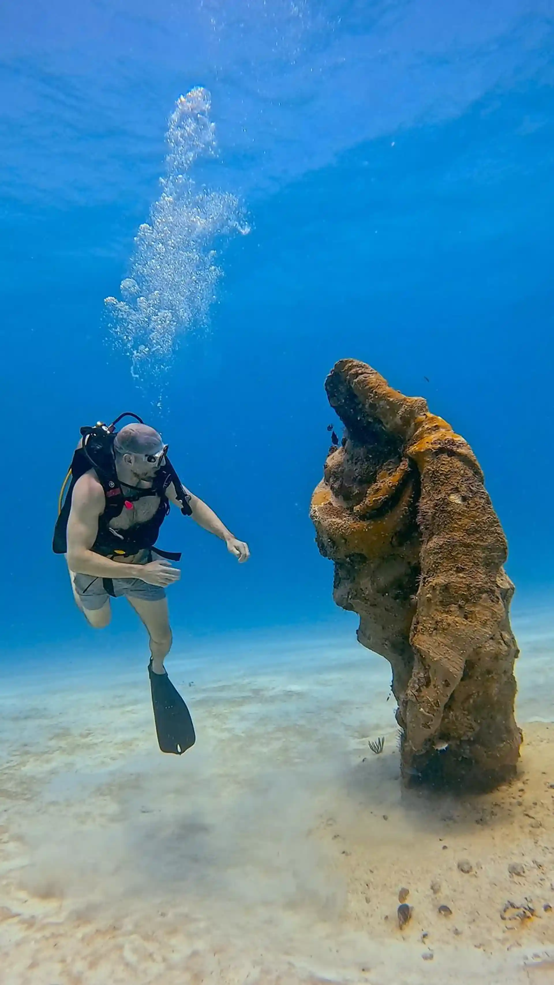 ダイビングサイトの写真