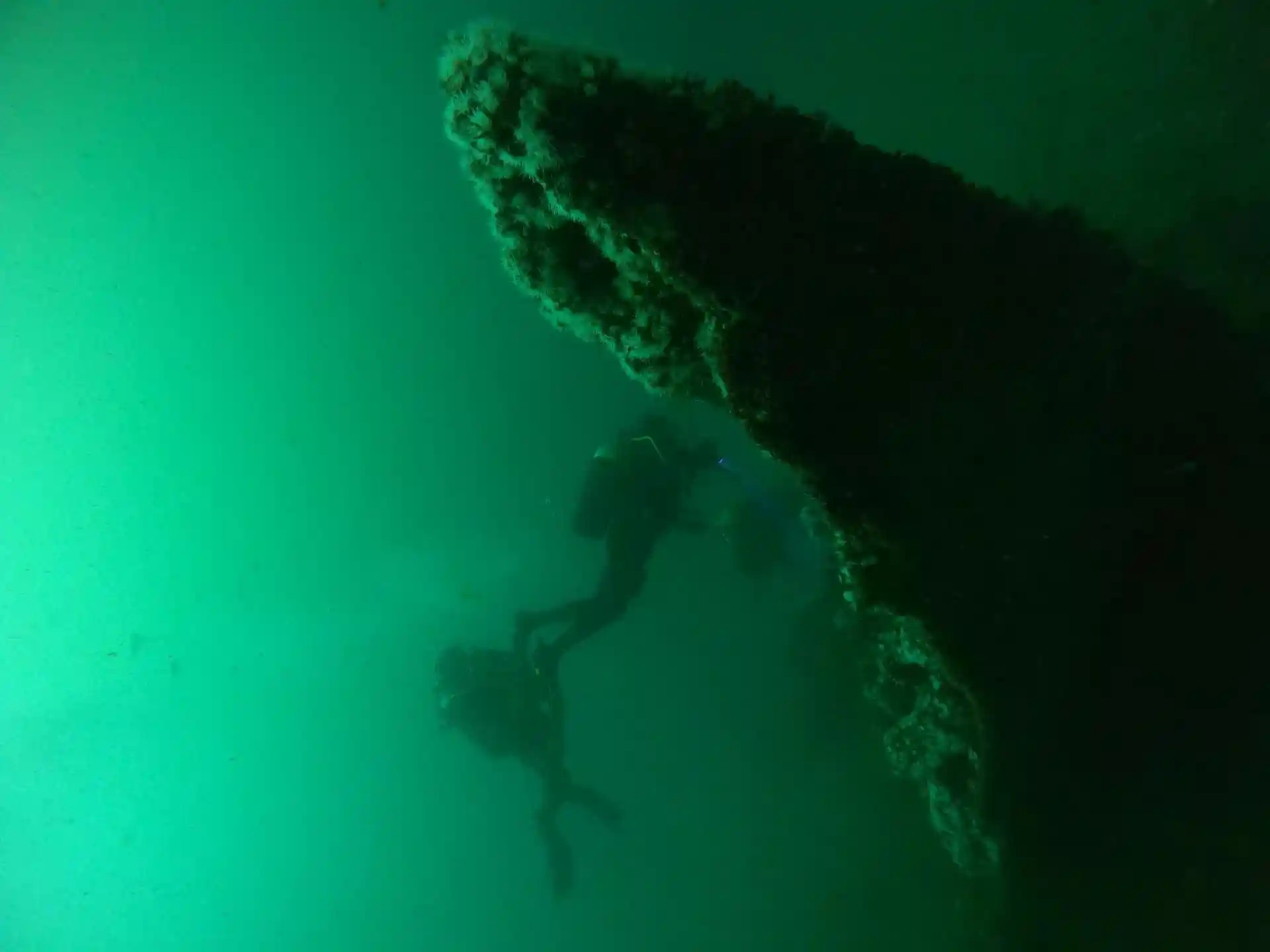 ダイビングサイトの写真