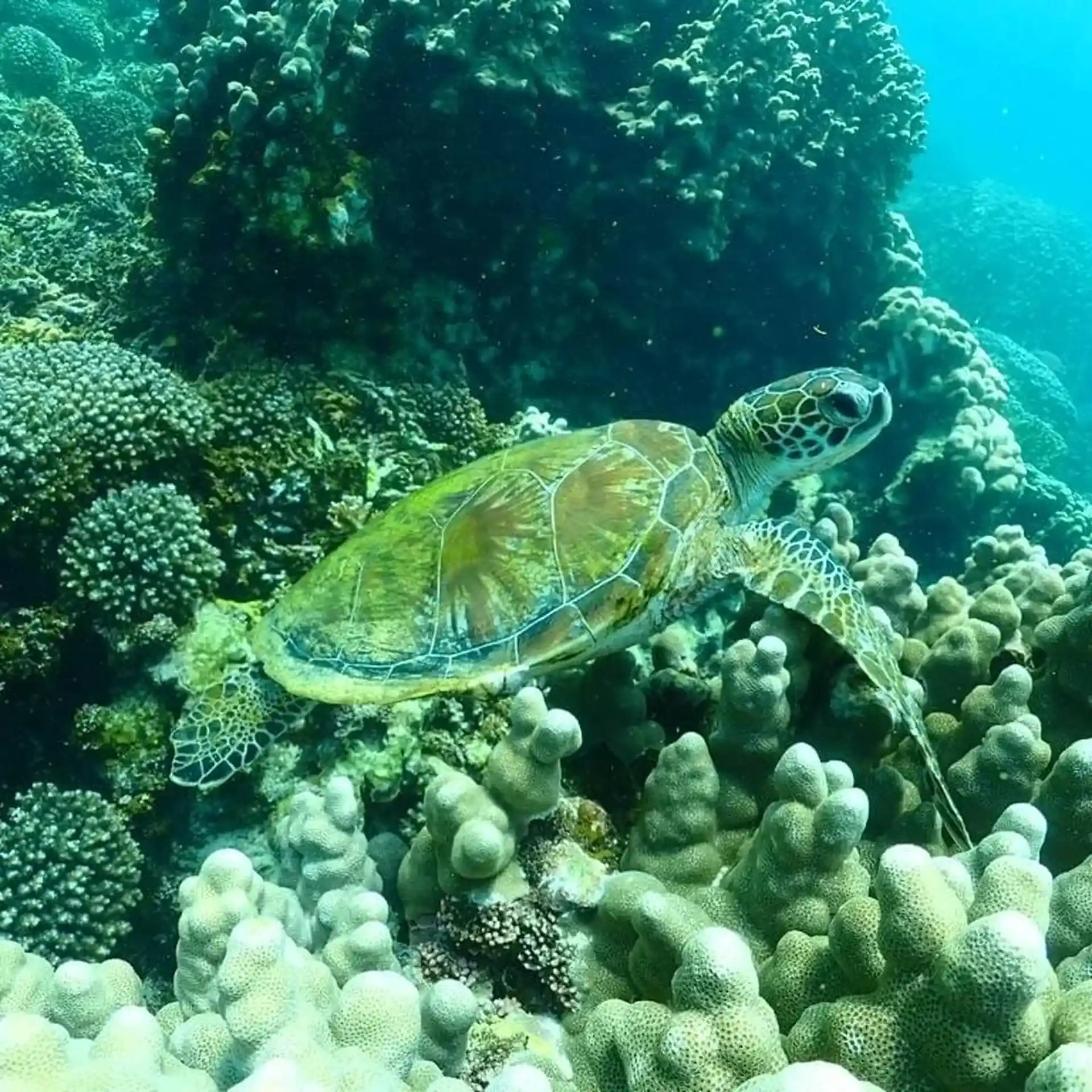 Dive site photo