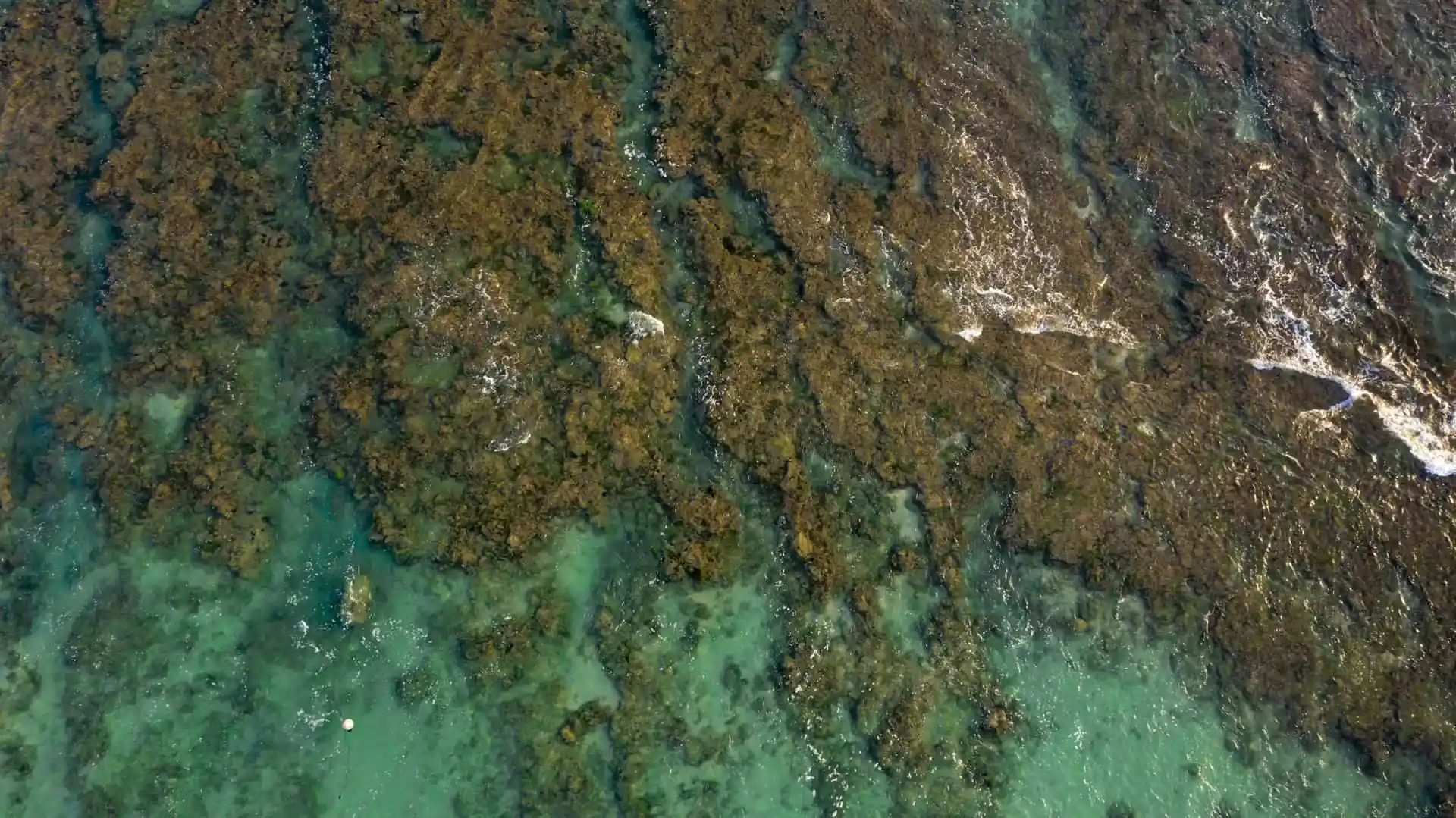 Photo de l'activité