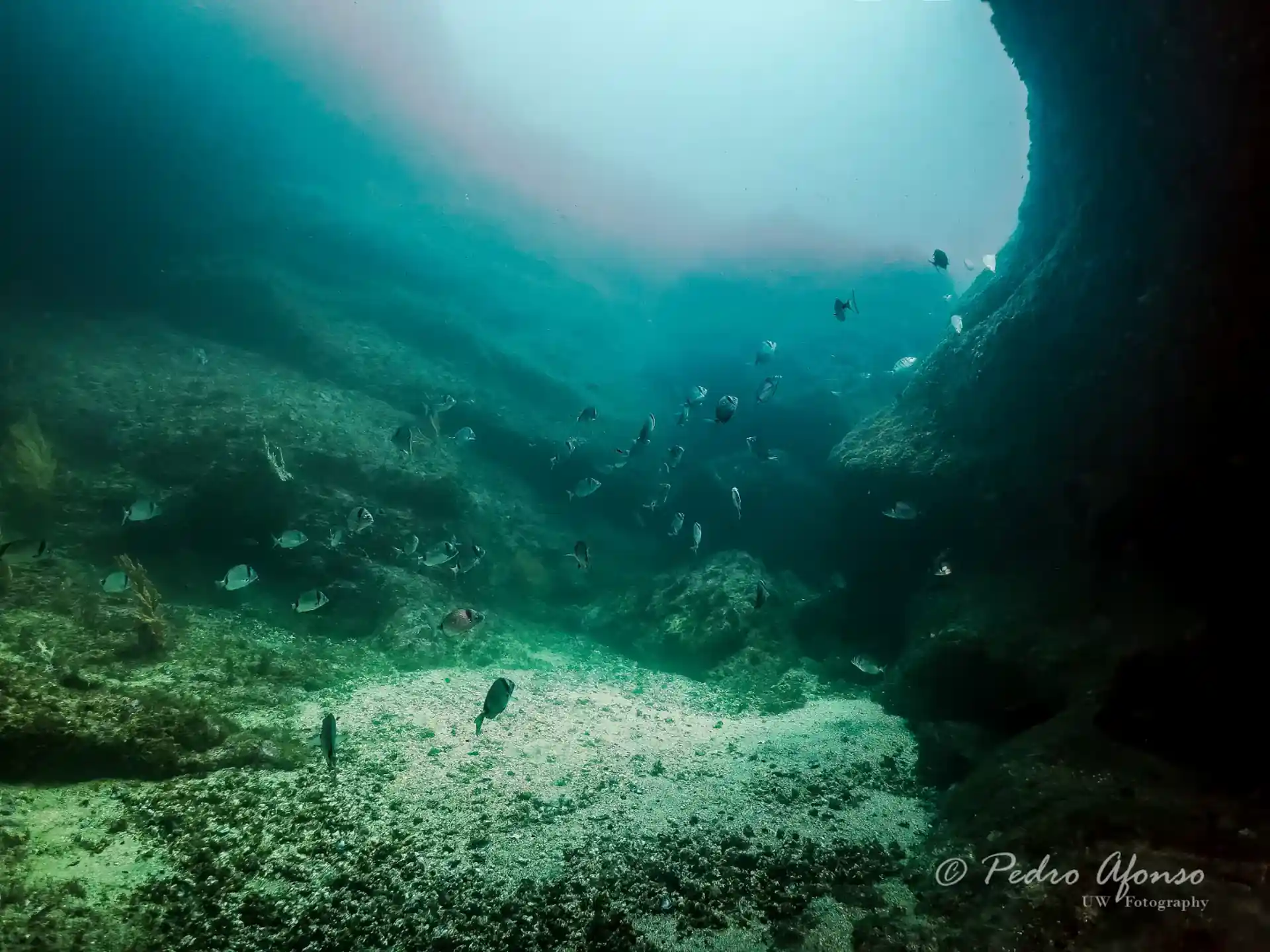 Dive shop photo