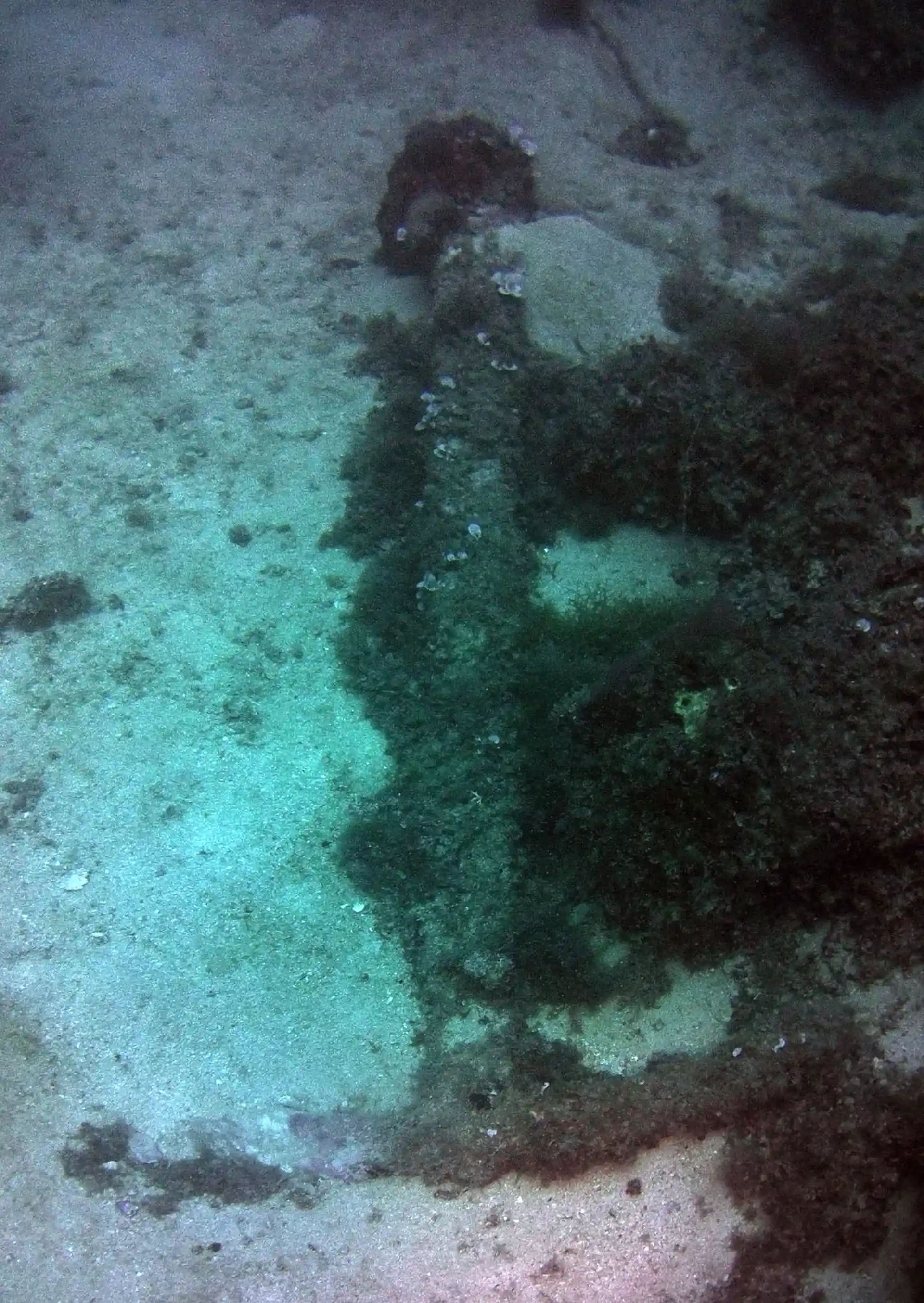 Dive site photo