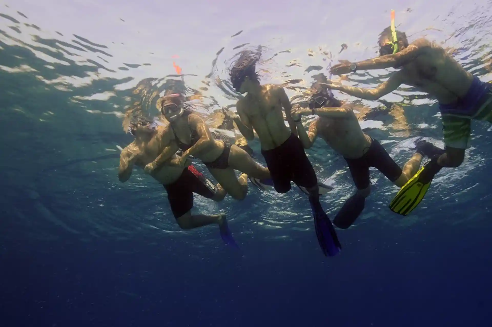 Photo de l'activité