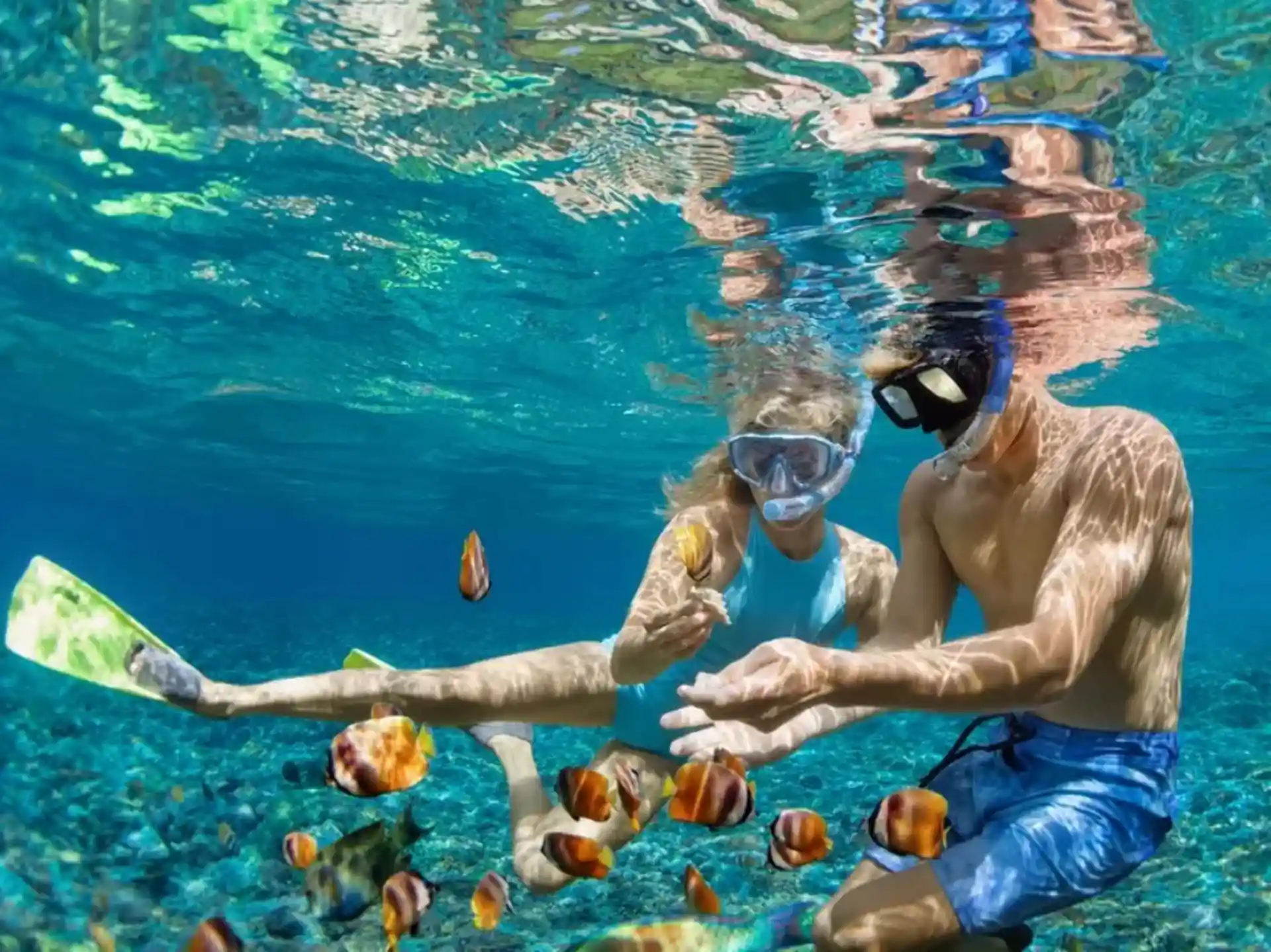 If you don't scuba dive but want a similar experience, snorkeling experience is good for you, all you have to do is put on snorkeling gear and dive into the ocean, and you can watch over different types of marine life and corals.