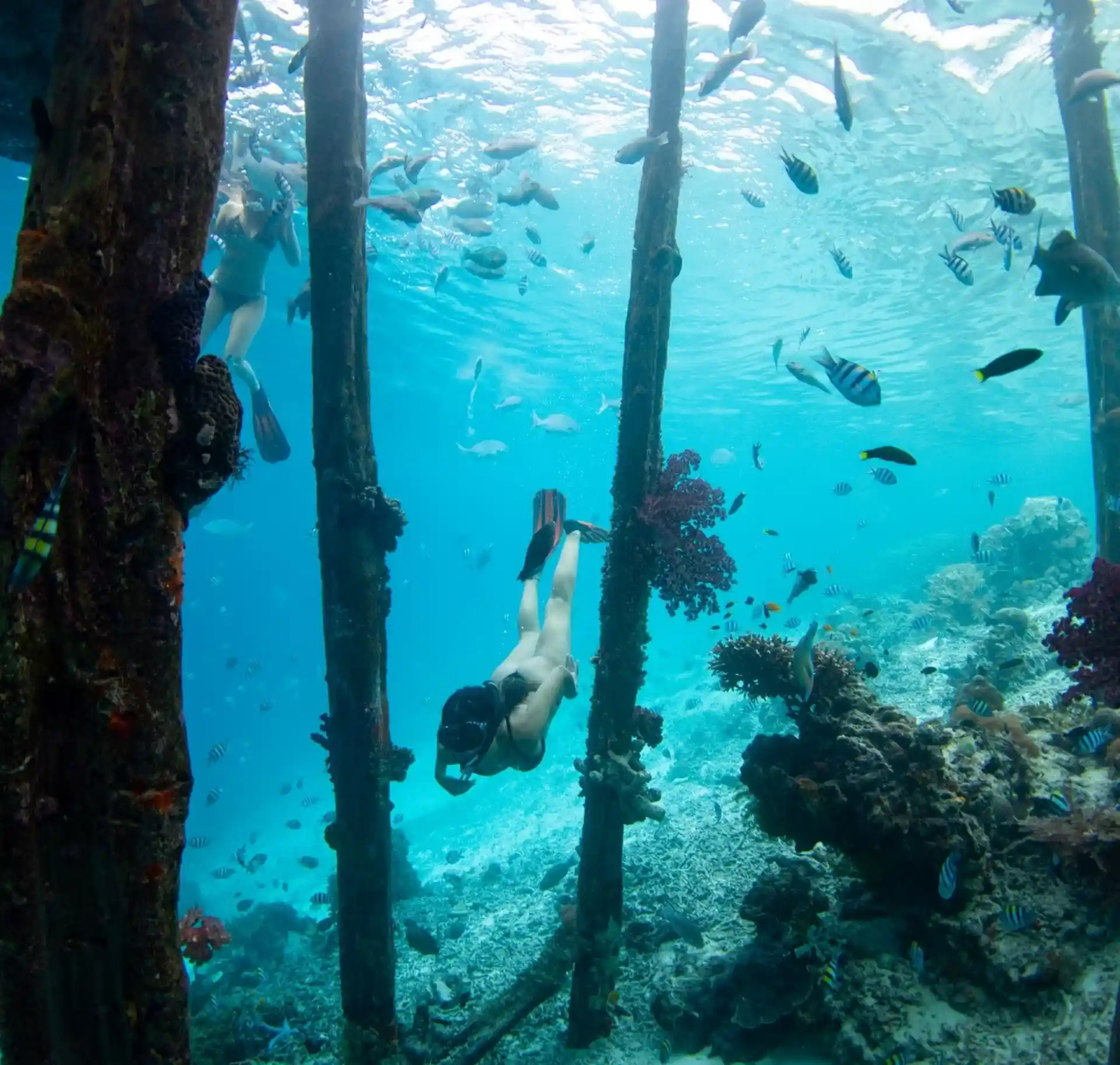 Dive site photo