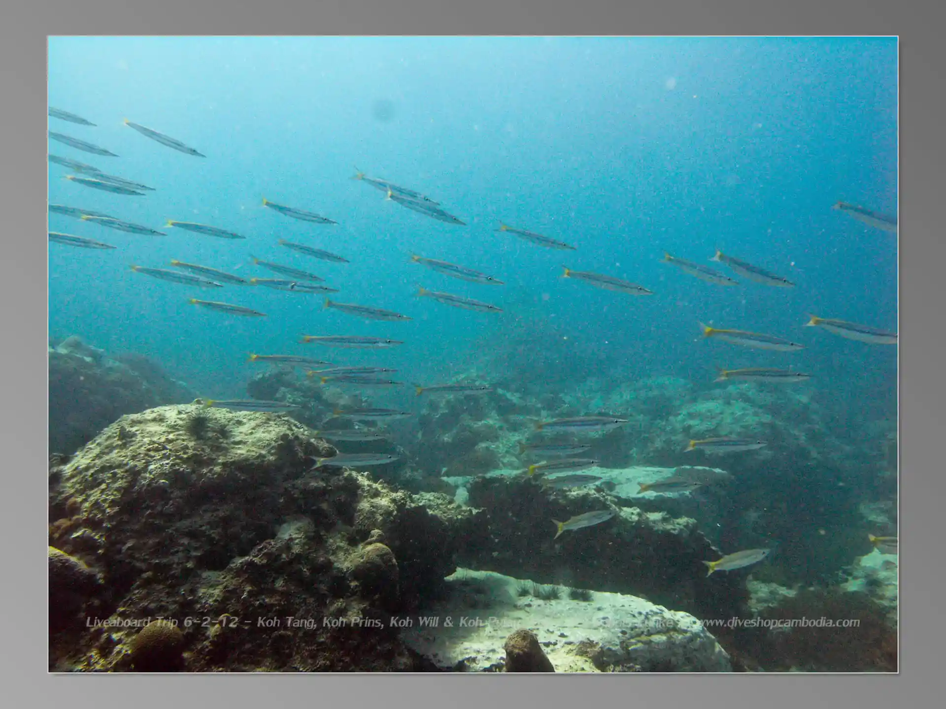 Foto van de duiklocatie